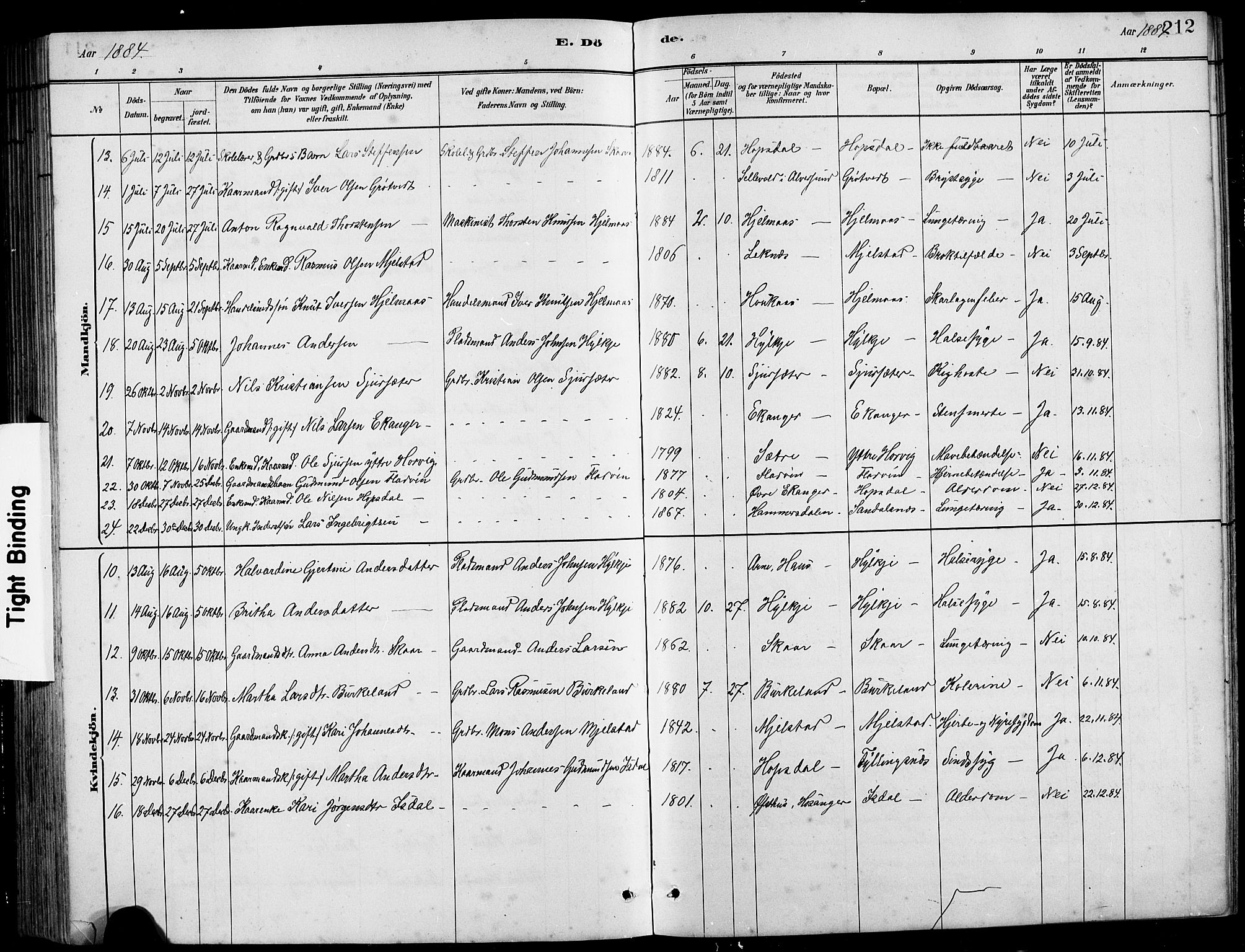 Hamre sokneprestembete, SAB/A-75501/H/Ha/Hab: Parish register (copy) no. B 3, 1881-1898, p. 212