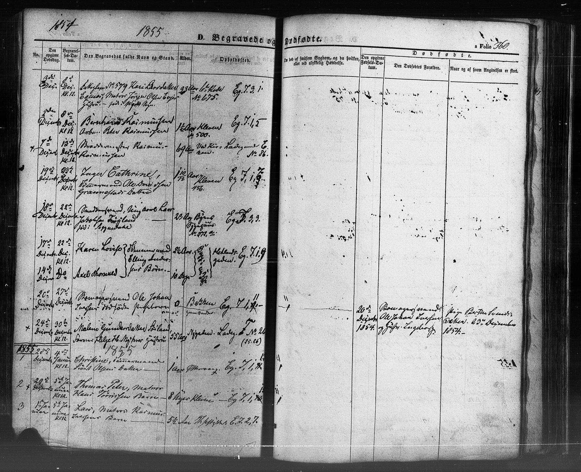Domkirken sokneprestkontor, SAST/A-101812/001/30/30BB/L0009: Parish register (copy) no. B 9, 1850-1858, p. 360