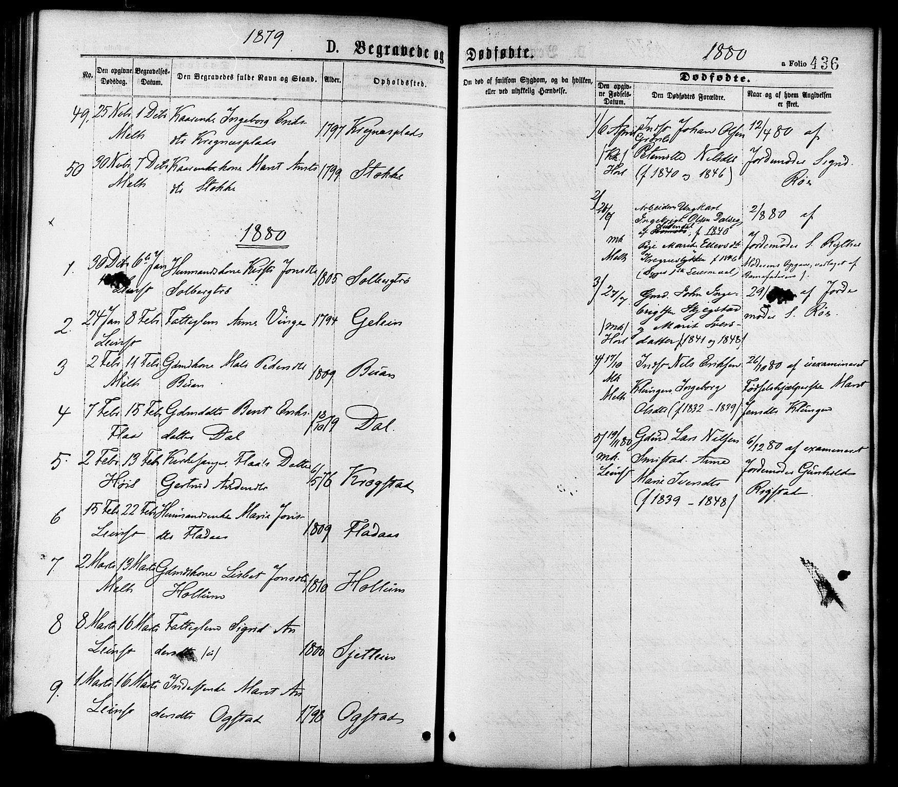 Ministerialprotokoller, klokkerbøker og fødselsregistre - Sør-Trøndelag, AV/SAT-A-1456/691/L1079: Parish register (official) no. 691A11, 1873-1886, p. 436