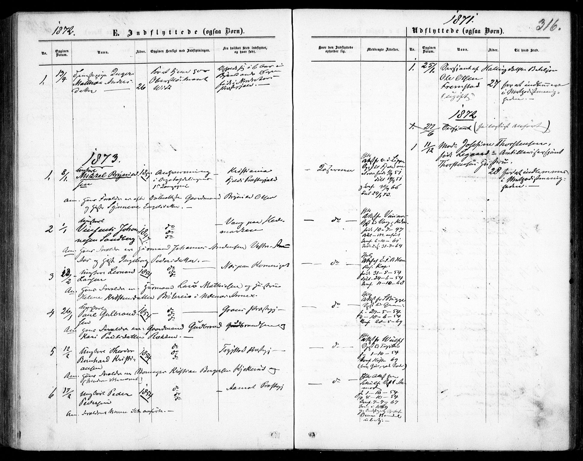 Garnisonsmenigheten Kirkebøker, SAO/A-10846/F/Fa/L0011: Parish register (official) no. 11, 1870-1880, p. 316