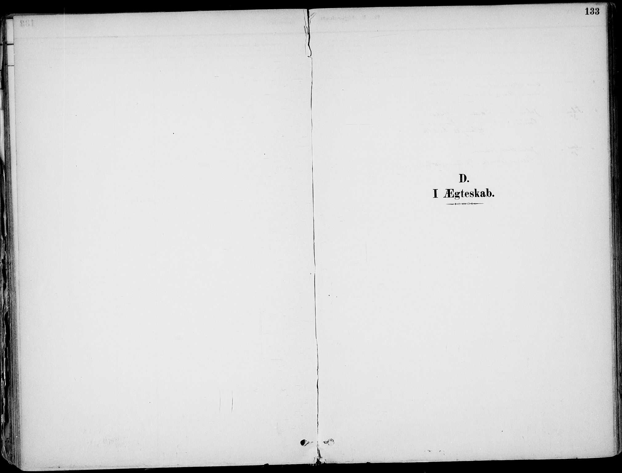 Larvik kirkebøker, AV/SAKO-A-352/F/Fb/L0004: Parish register (official) no. II 4, 1884-1902, p. 133