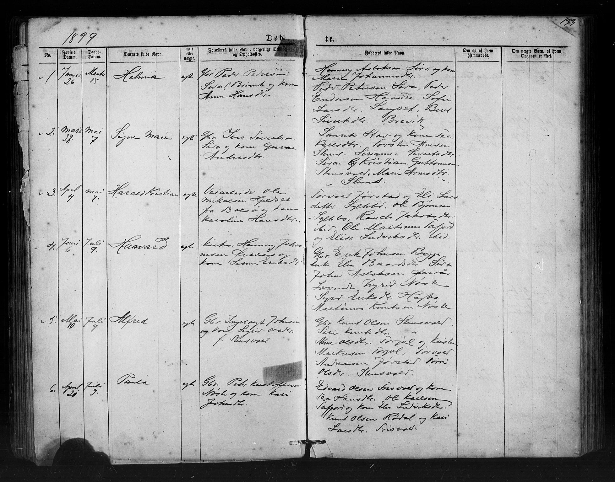 Ministerialprotokoller, klokkerbøker og fødselsregistre - Møre og Romsdal, SAT/A-1454/552/L0638: Parish register (copy) no. 552C01, 1867-1902, p. 133