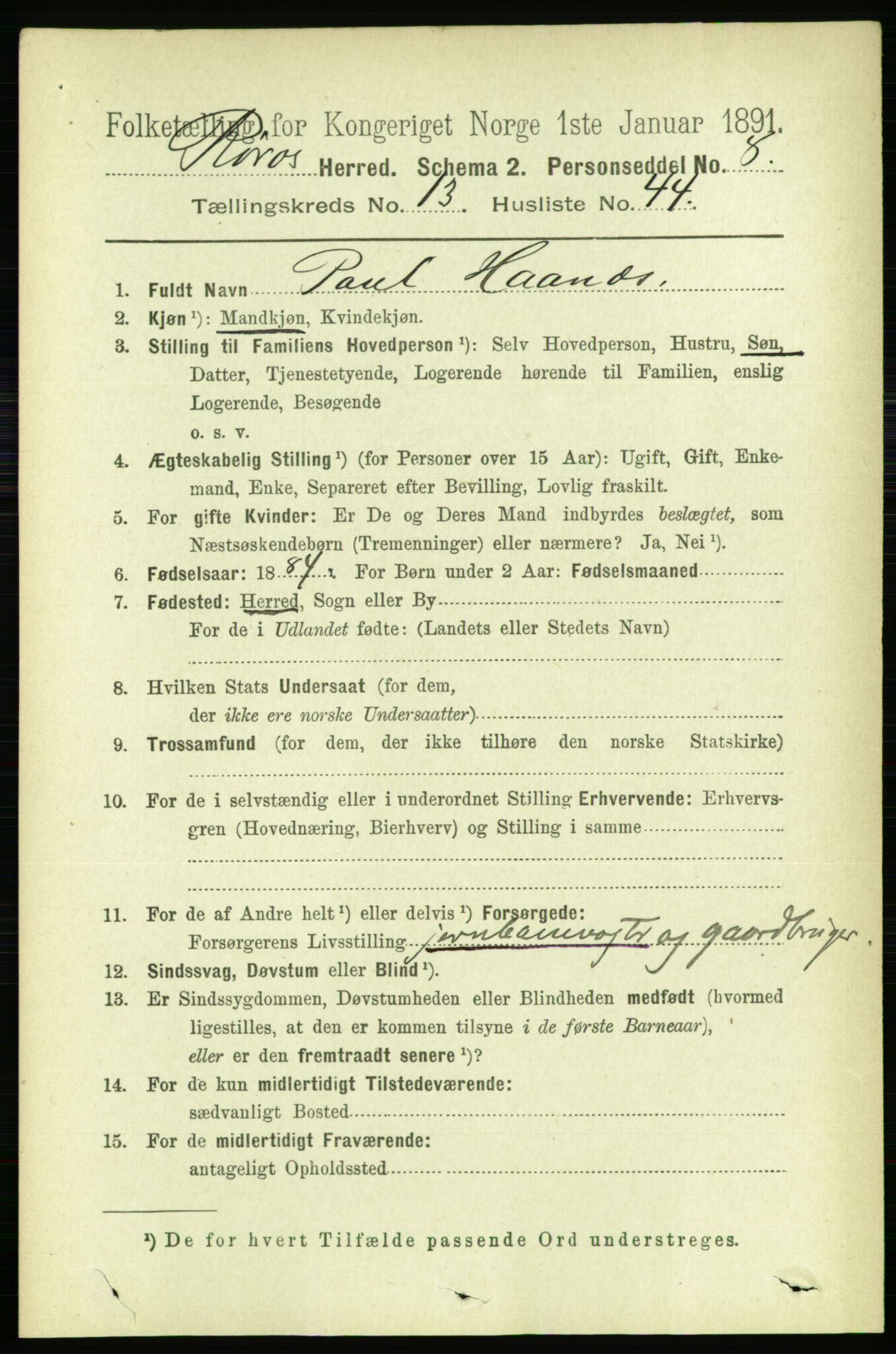 RA, 1891 census for 1640 Røros, 1891, p. 2787