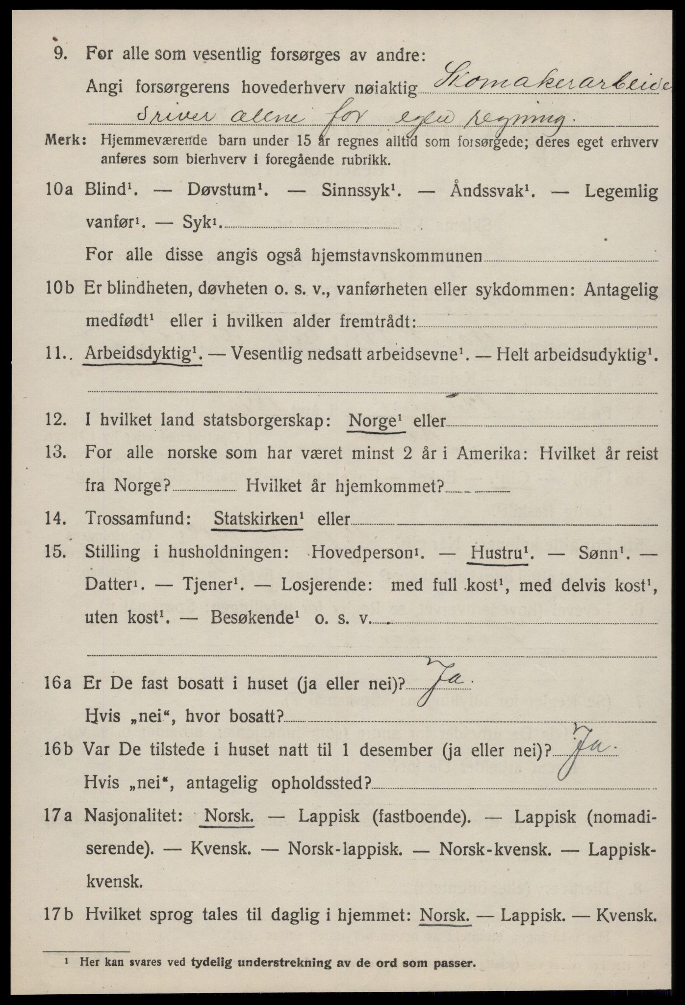 SAT, 1920 census for Horg, 1920, p. 3051