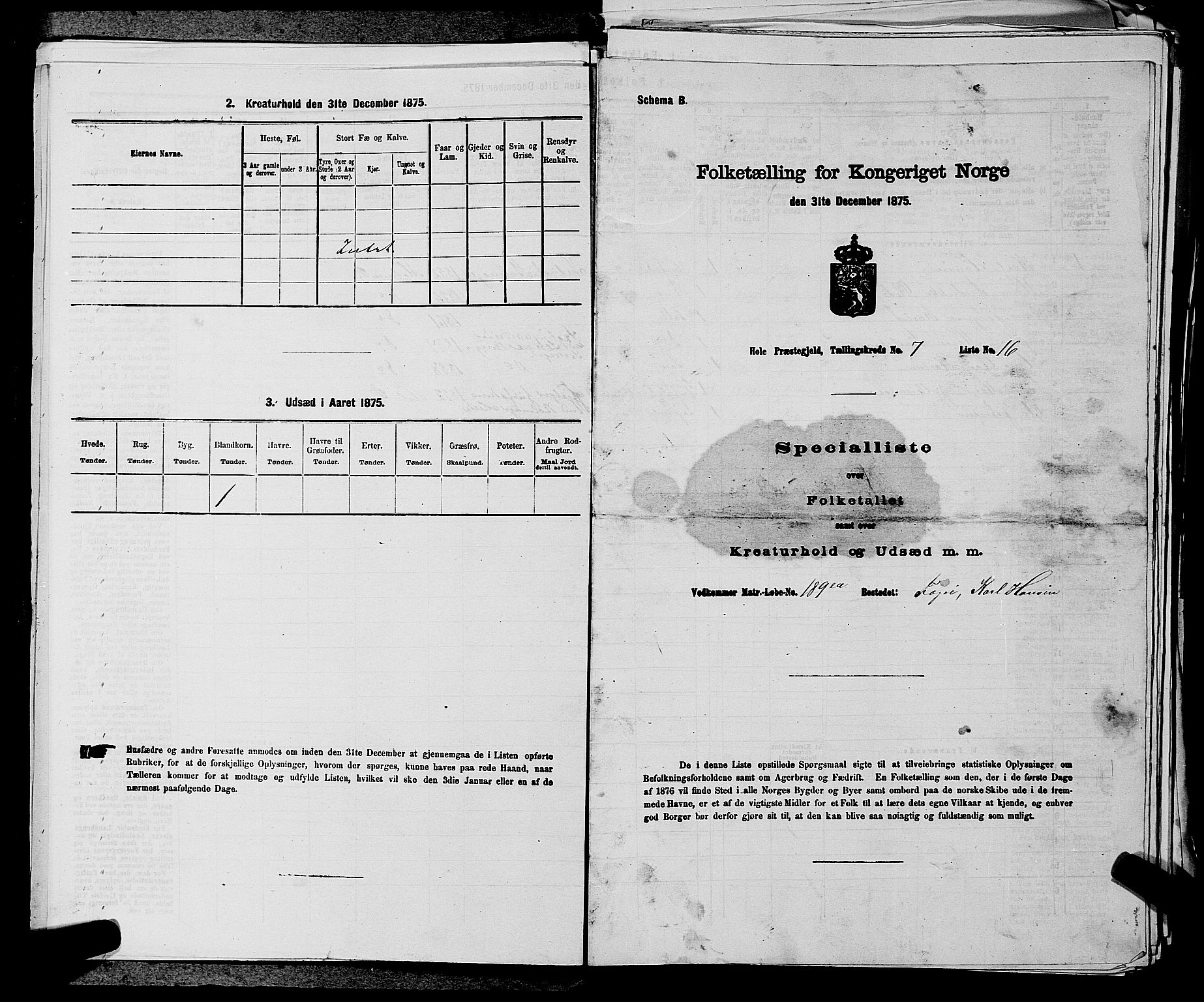 SAKO, 1875 census for 0612P Hole, 1875, p. 1173