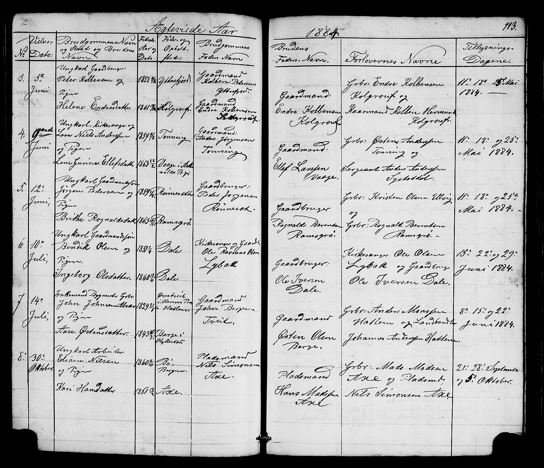Hyllestad sokneprestembete, SAB/A-80401: Parish register (copy) no. A 2, 1876-1906, p. 113