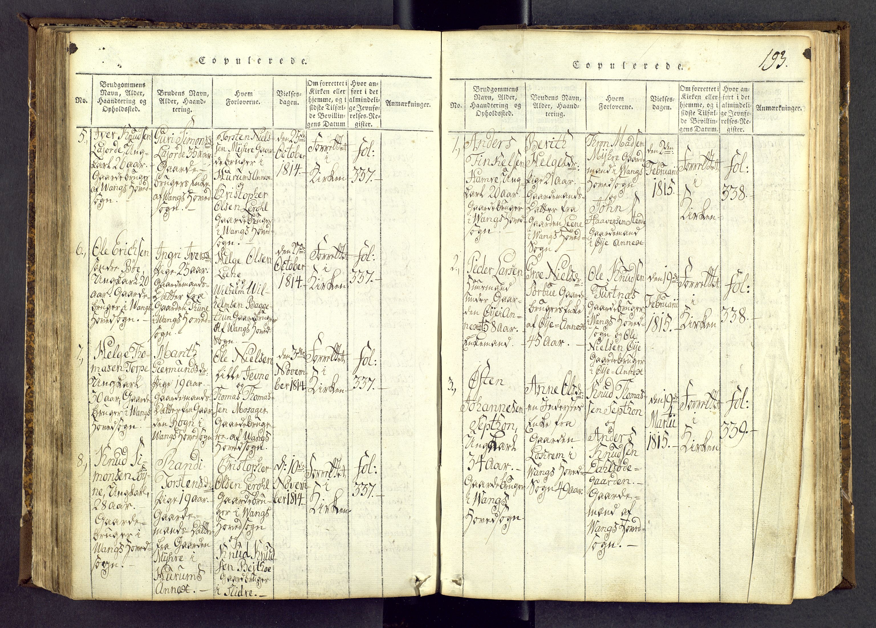 Vang prestekontor, Valdres, SAH/PREST-140/H/Ha/L0004: Parish register (official) no. 4, 1814-1831, p. 193