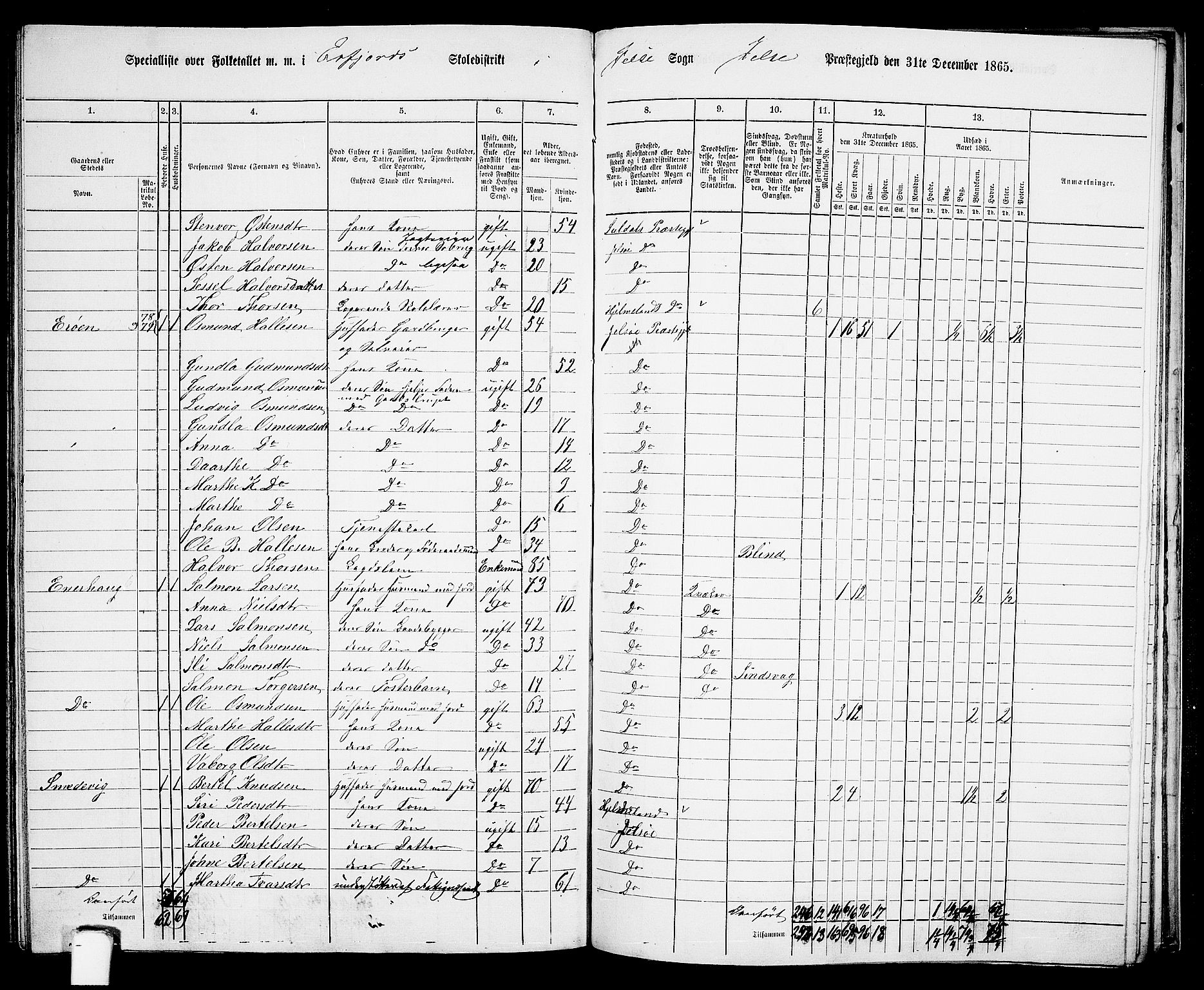 RA, 1865 census for Jelsa, 1865, p. 105