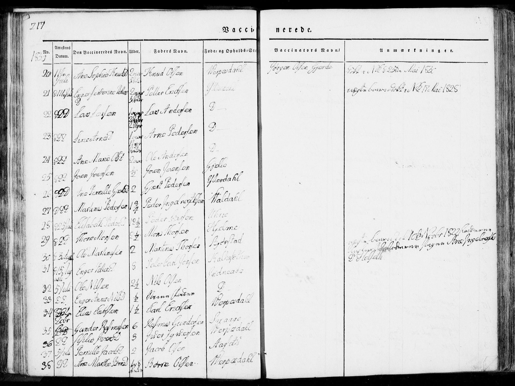 Ministerialprotokoller, klokkerbøker og fødselsregistre - Møre og Romsdal, AV/SAT-A-1454/519/L0248: Parish register (official) no. 519A07, 1829-1860, p. 217