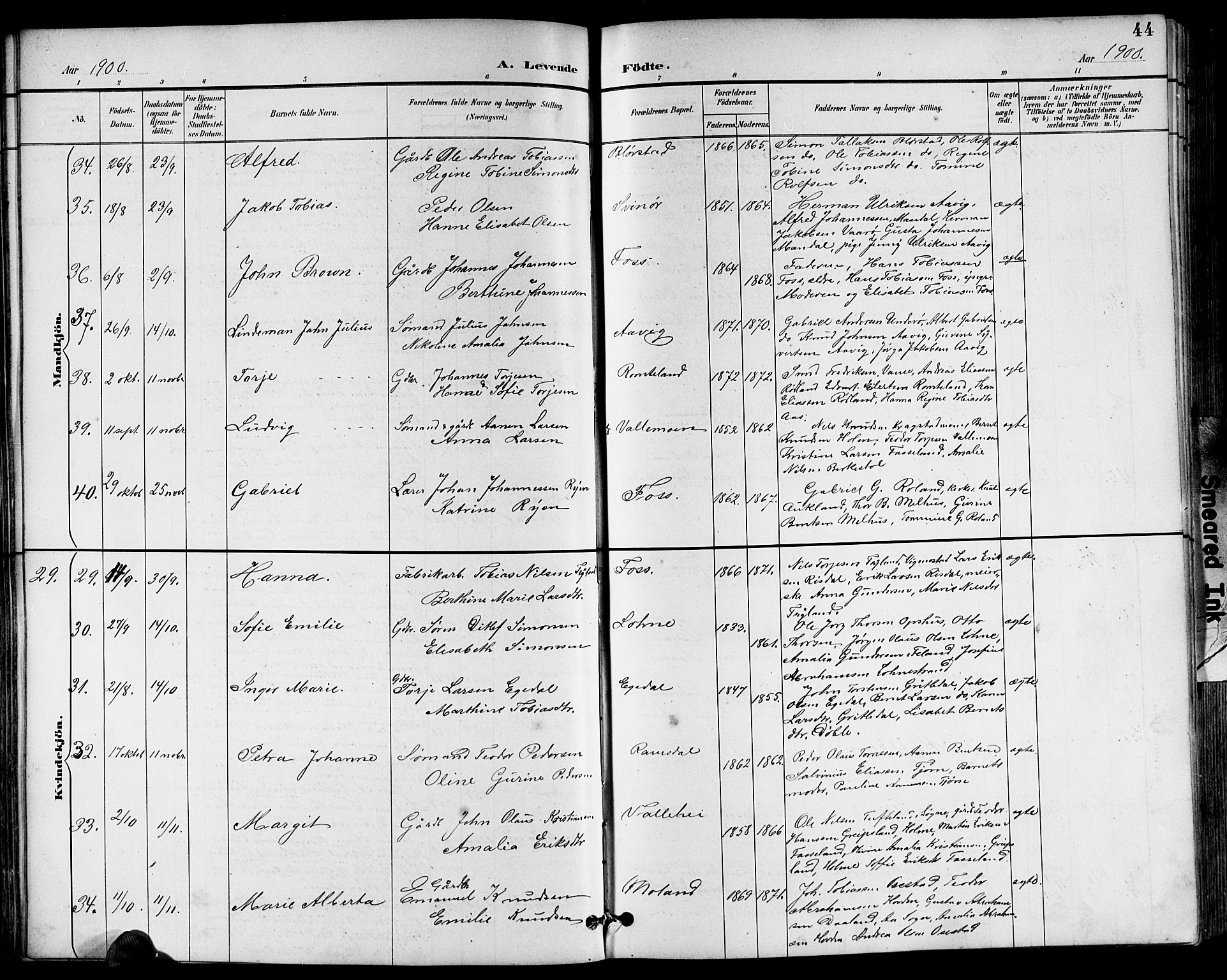 Sør-Audnedal sokneprestkontor, AV/SAK-1111-0039/F/Fb/Fbb/L0006: Parish register (copy) no. B 6, 1893-1915, p. 44