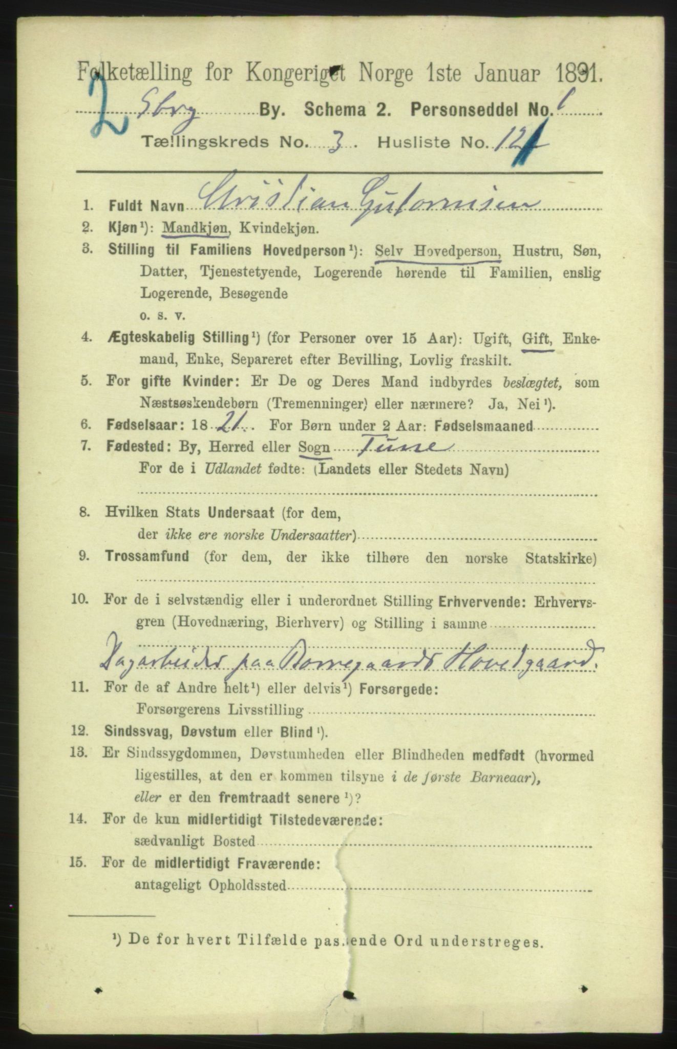 RA, 1891 census for 0102 Sarpsborg, 1891, p. 3676