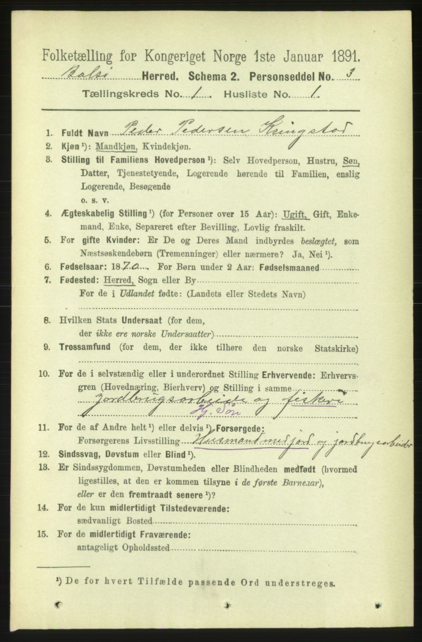 RA, 1891 census for 1544 Bolsøy, 1891, p. 176