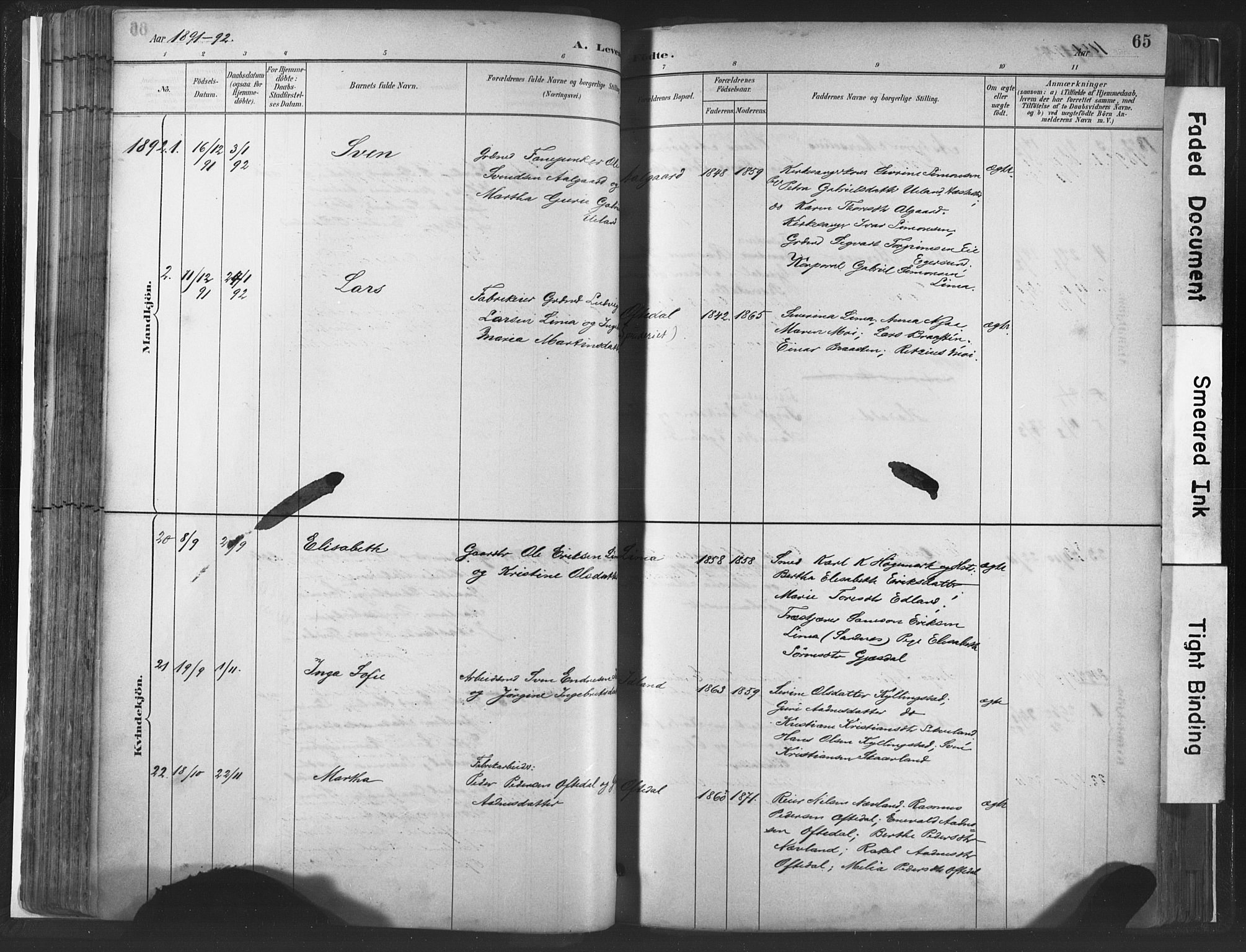 Lye sokneprestkontor, SAST/A-101794/001/30BA/L0010: Parish register (official) no. A 10, 1881-1896, p. 65