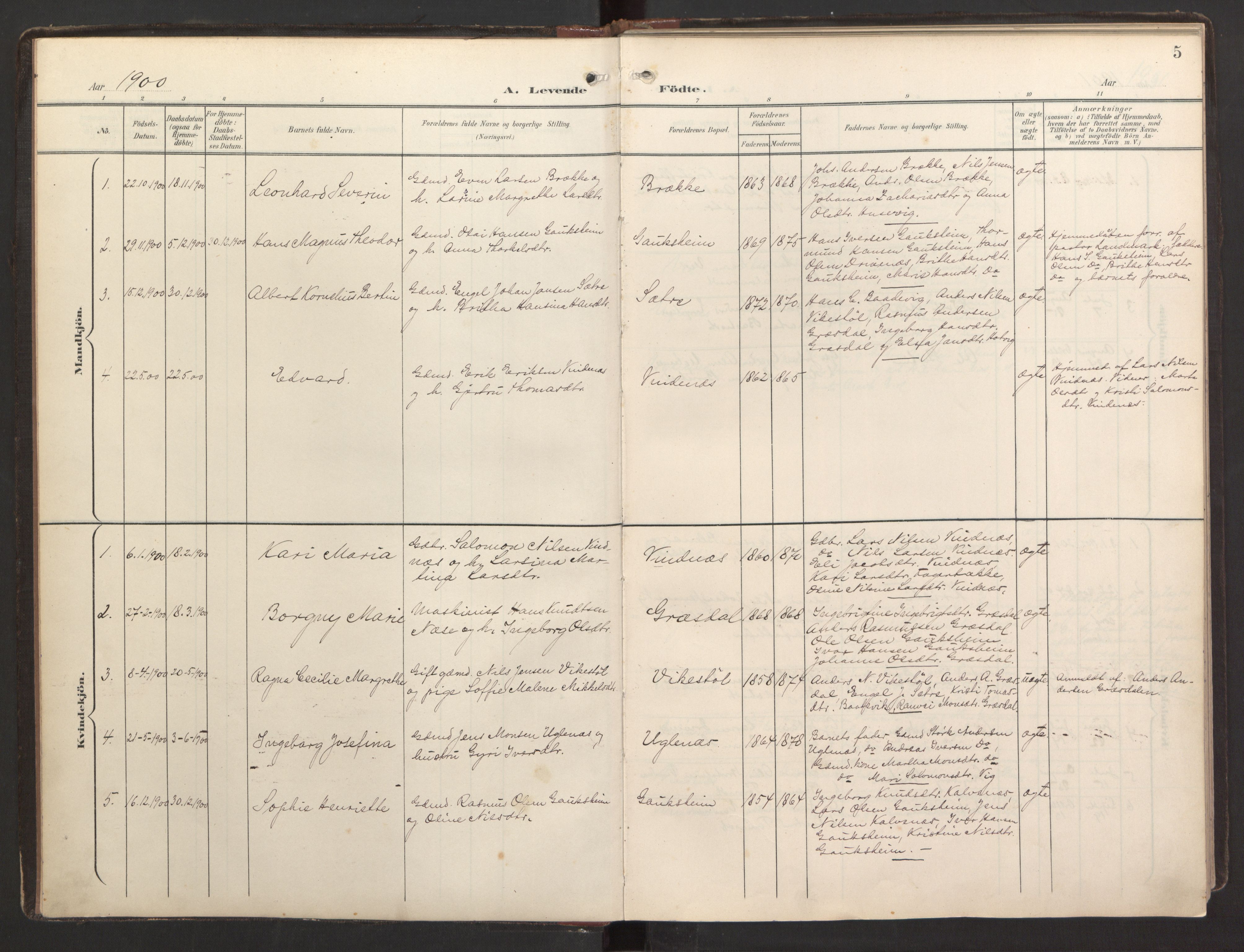 Fitjar sokneprestembete, SAB/A-99926: Parish register (official) no. B 1, 1900-1926, p. 5
