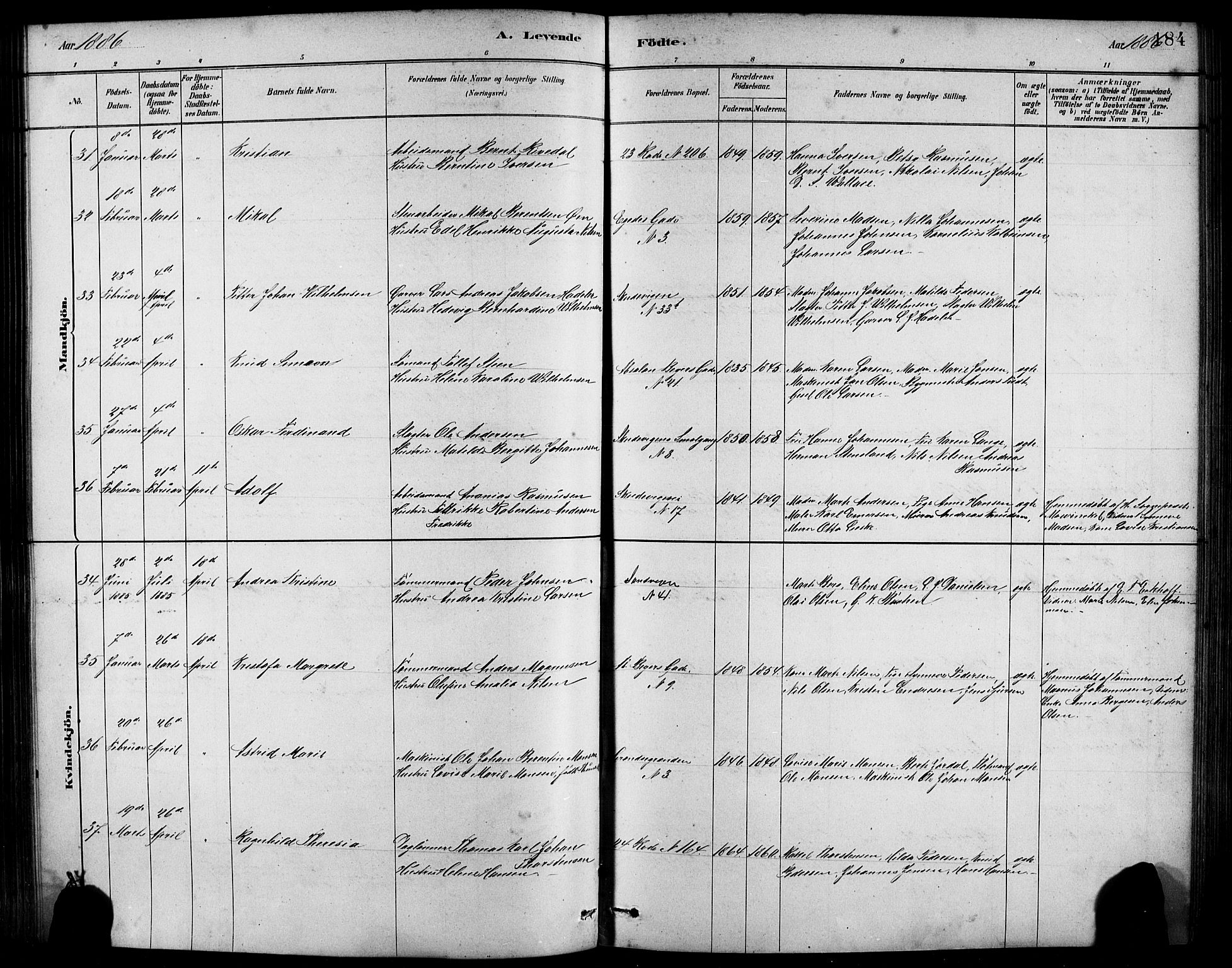 Sandviken Sokneprestembete, AV/SAB-A-77601/H/Hb/L0001: Parish register (copy) no. A 2, 1879-1892, p. 184