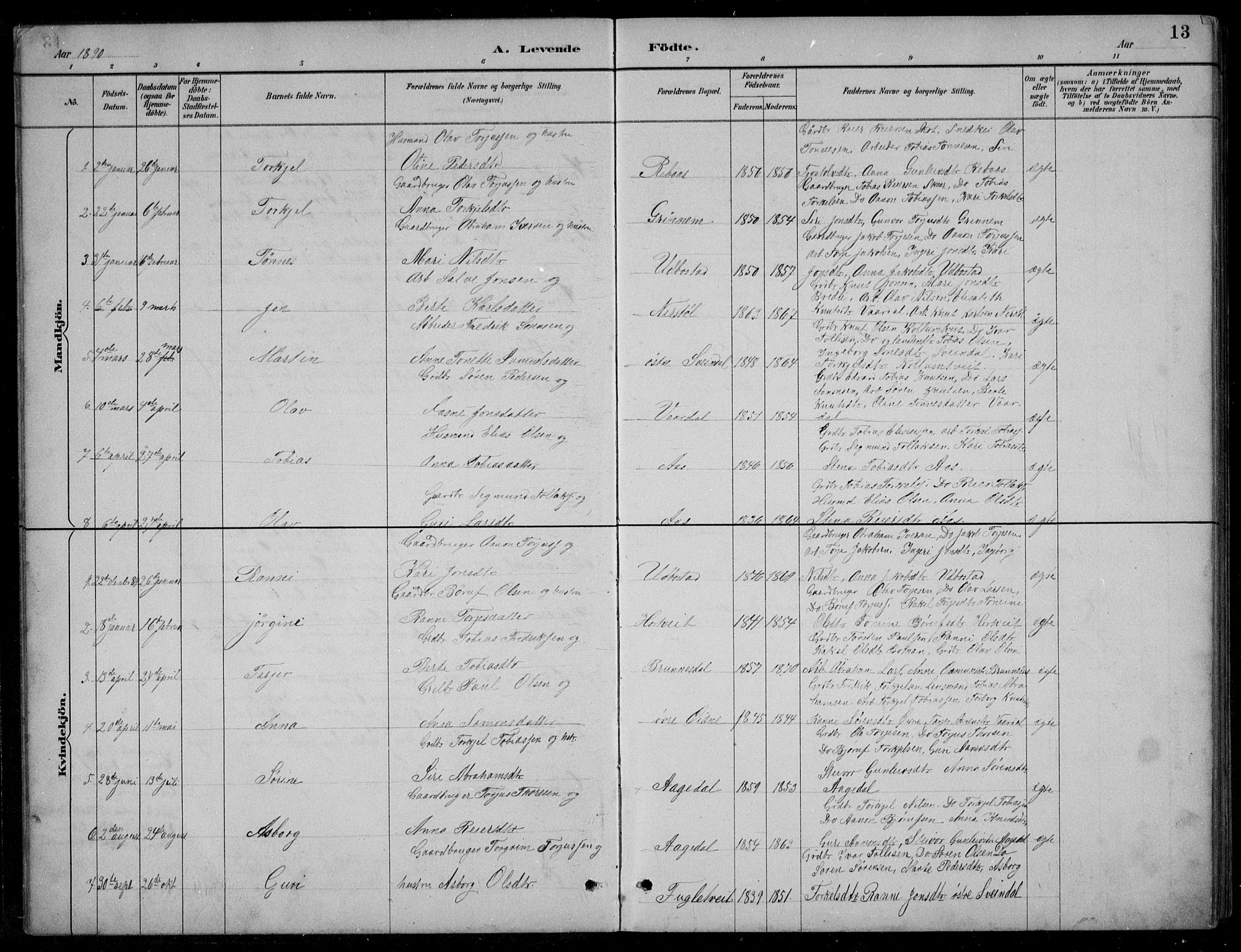 Bjelland sokneprestkontor, SAK/1111-0005/F/Fb/Fbc/L0003: Parish register (copy) no. B 3, 1887-1924, p. 13