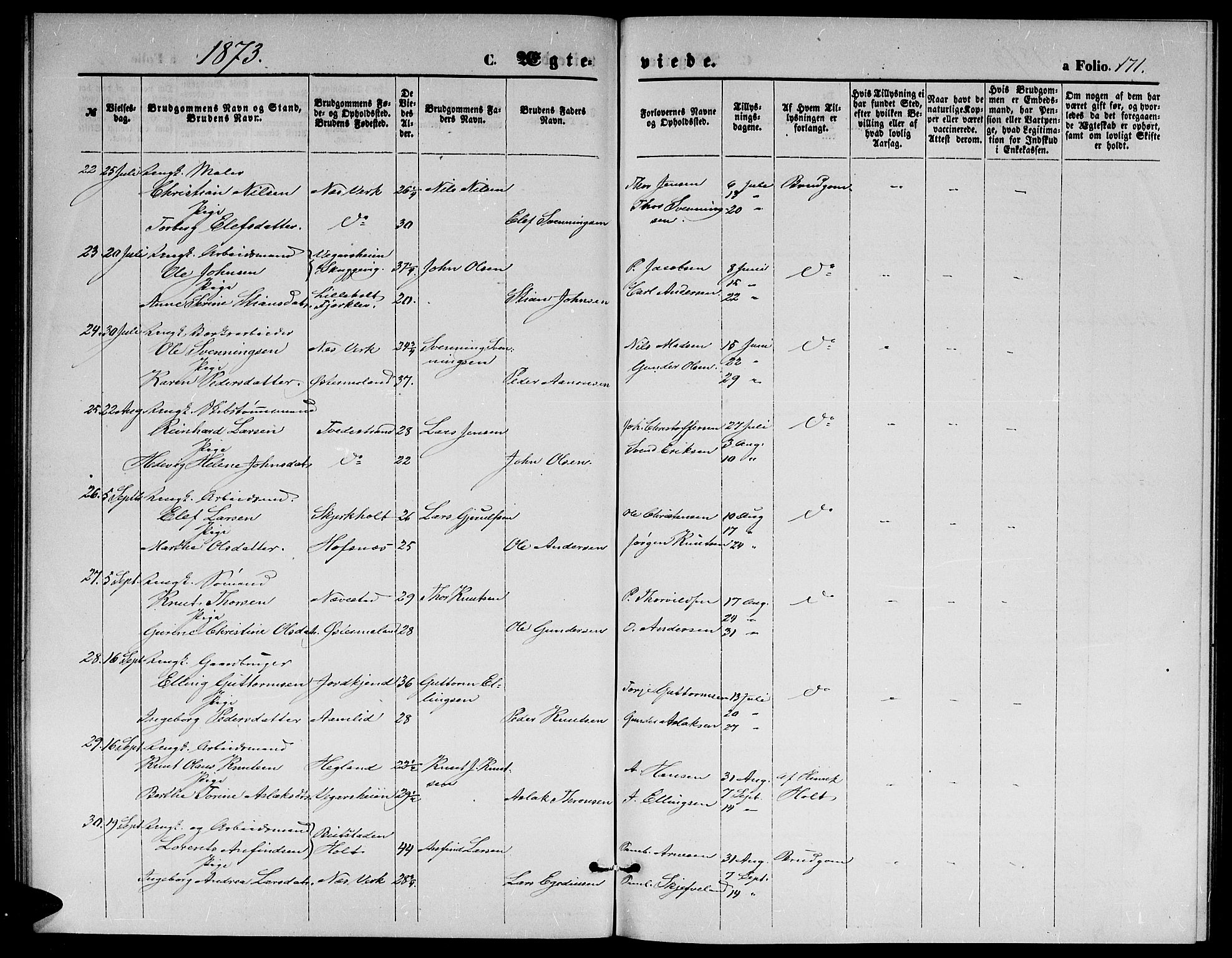 Holt sokneprestkontor, AV/SAK-1111-0021/F/Fb/L0009: Parish register (copy) no. B 9, 1871-1883, p. 171