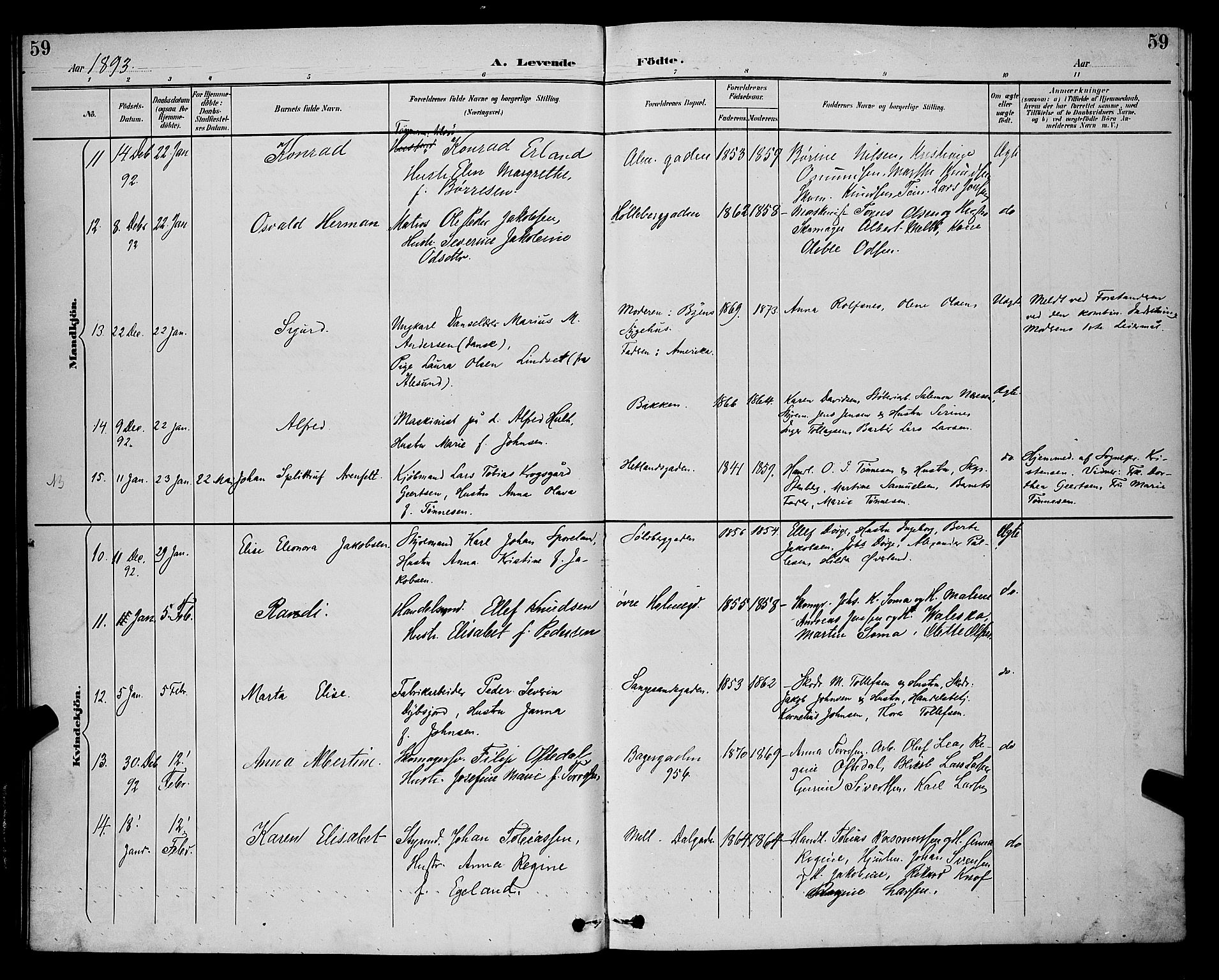 St. Petri sokneprestkontor, SAST/A-101813/001/30/30BB/L0006: Parish register (copy) no. B 6, 1890-1897, p. 59