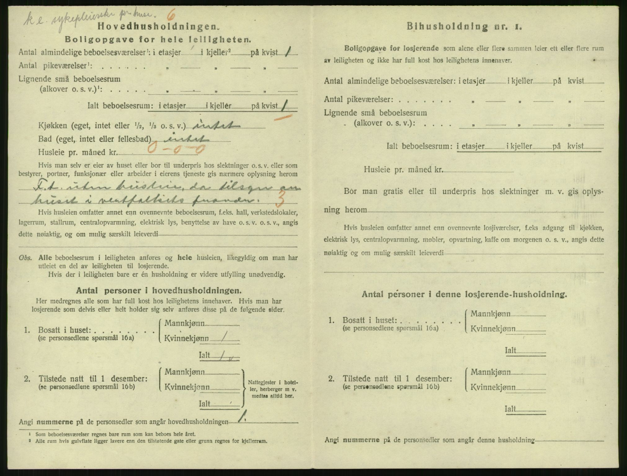 SAT, 1920 census for Narvik, 1920, p. 3977