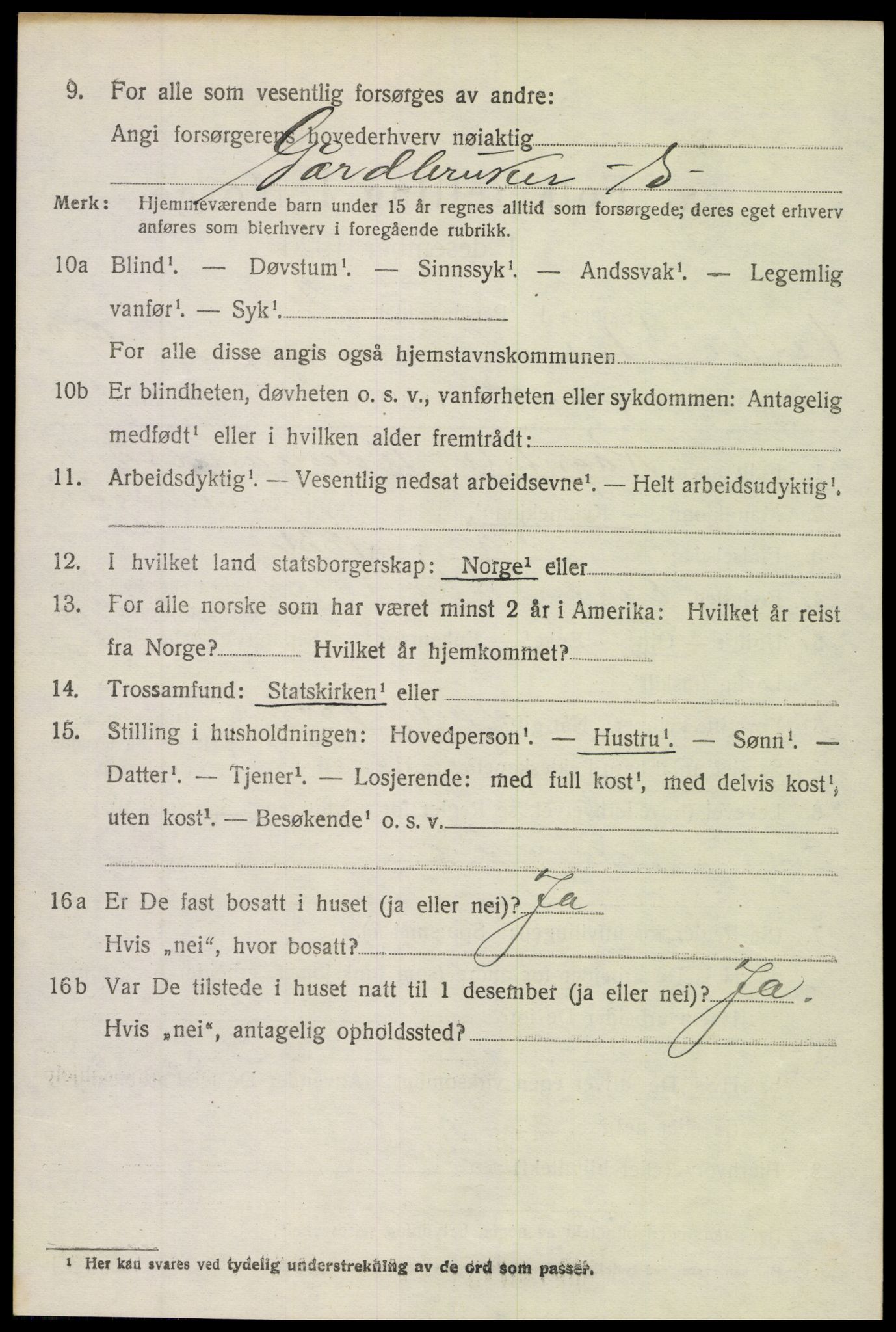 SAH, 1920 census for Vestre Slidre, 1920, p. 5065