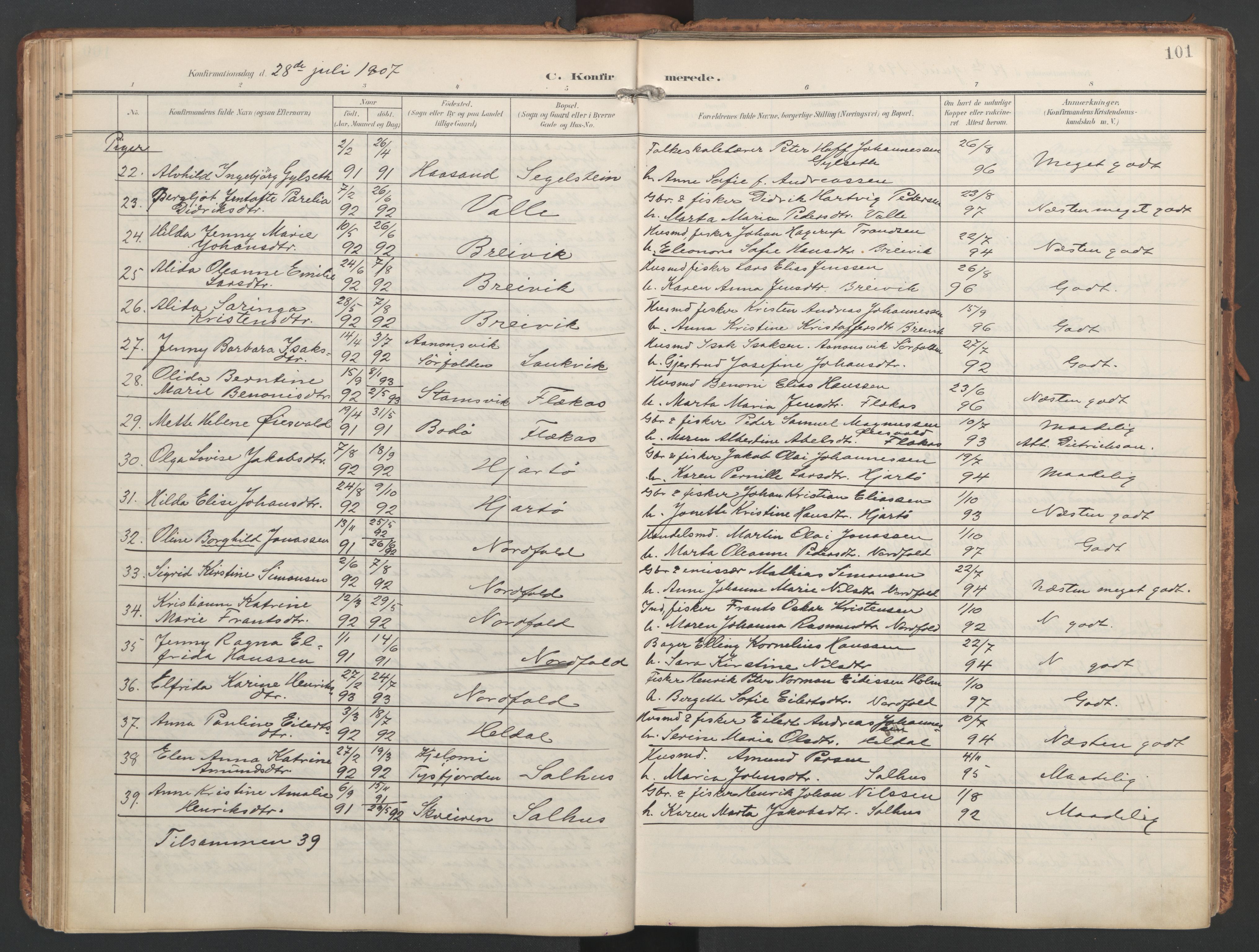 Ministerialprotokoller, klokkerbøker og fødselsregistre - Nordland, AV/SAT-A-1459/858/L0832: Parish register (official) no. 858A02, 1902-1915, p. 101