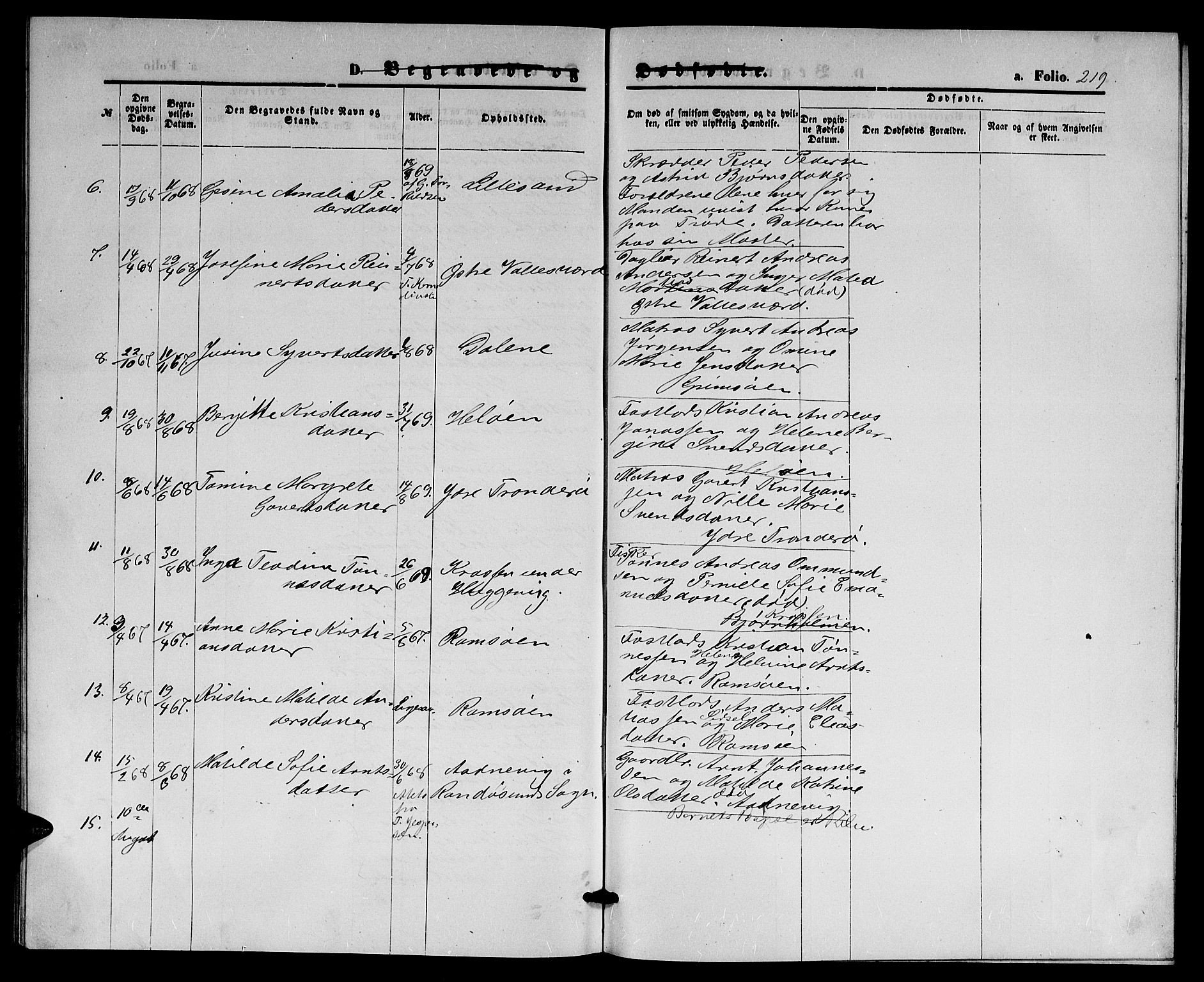 Høvåg sokneprestkontor, AV/SAK-1111-0025/F/Fb/L0003: Parish register (copy) no. B 3, 1870-1882, p. 219