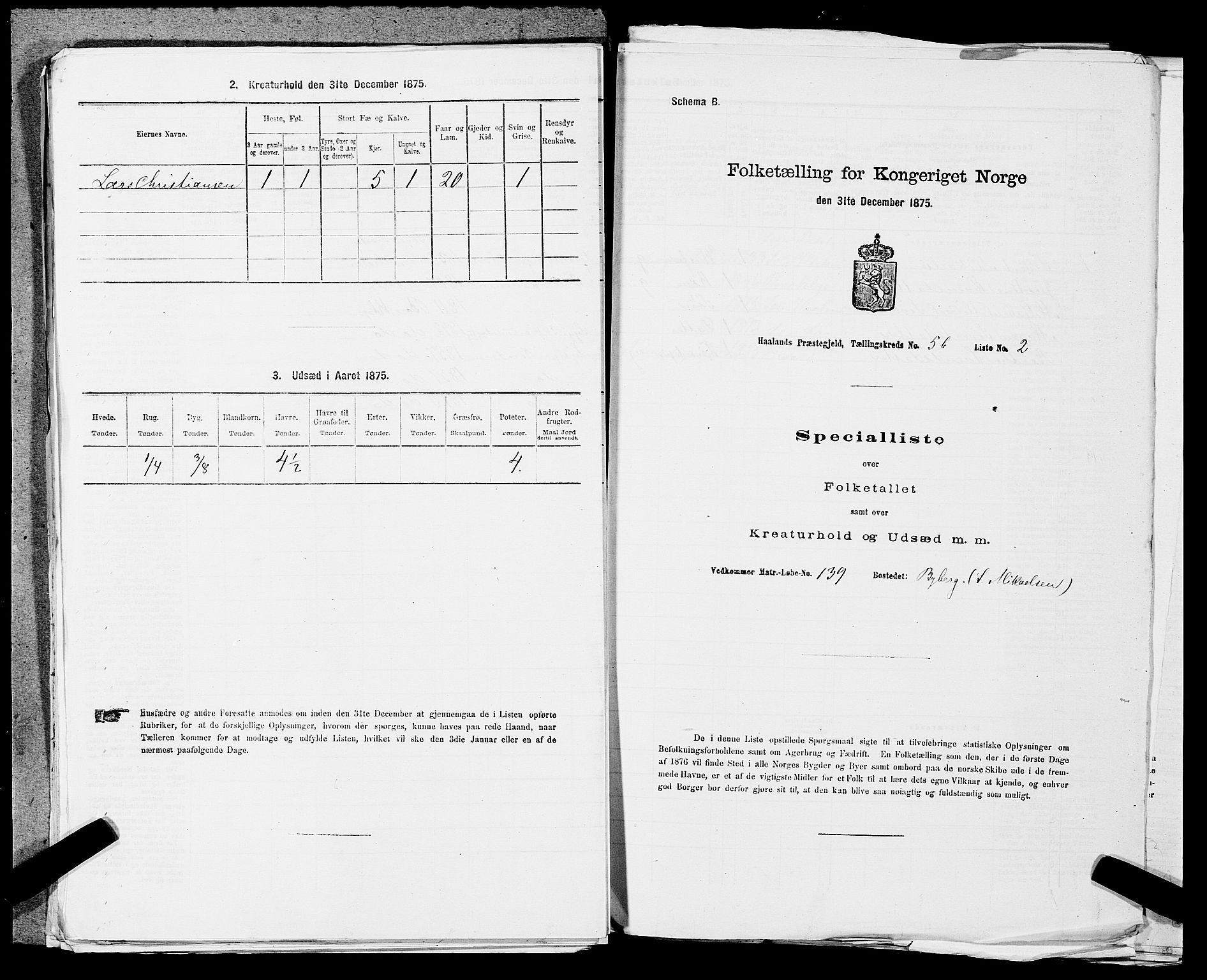 SAST, 1875 census for 1124P Håland, 1875, p. 864