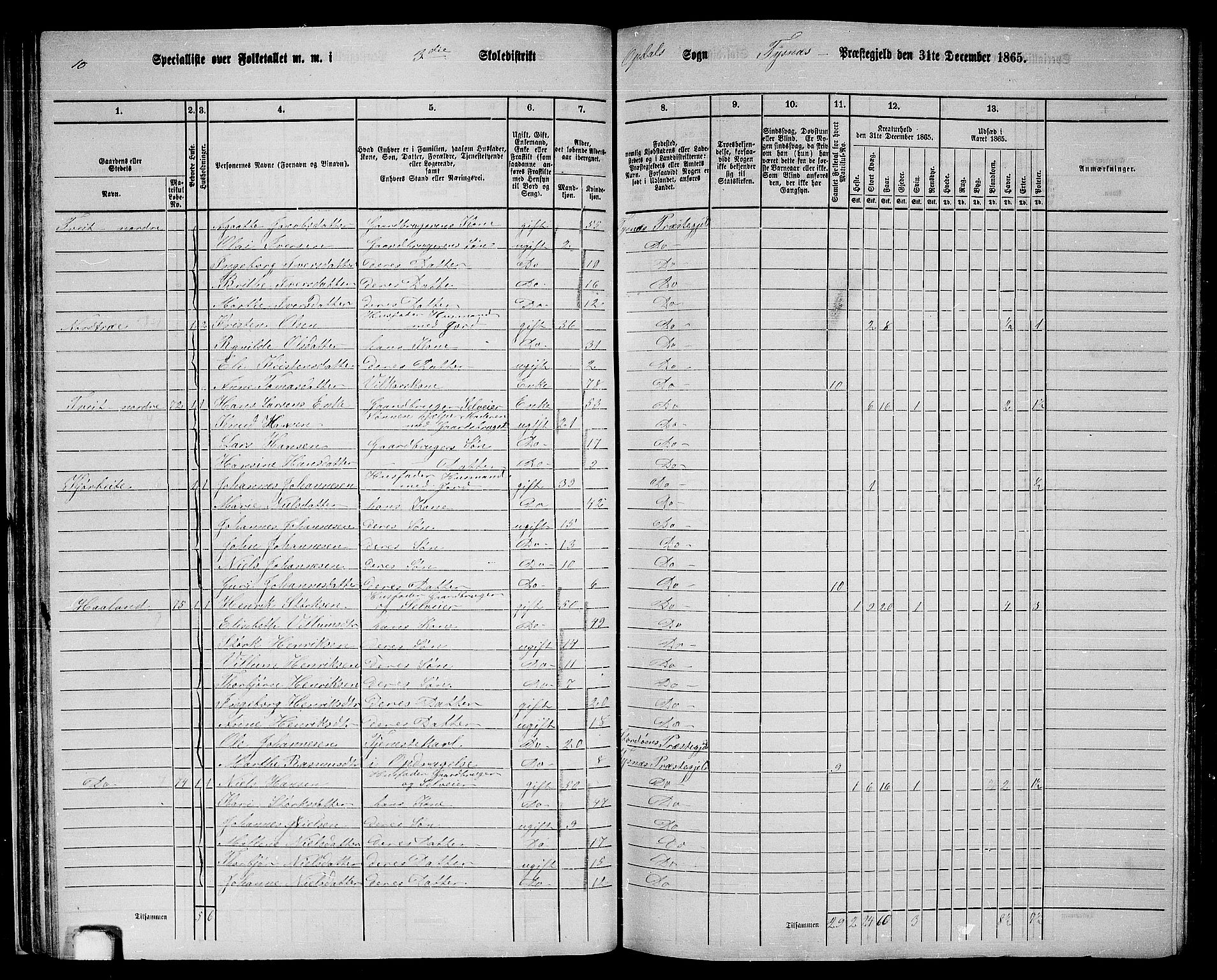 RA, 1865 census for Tysnes, 1865, p. 41