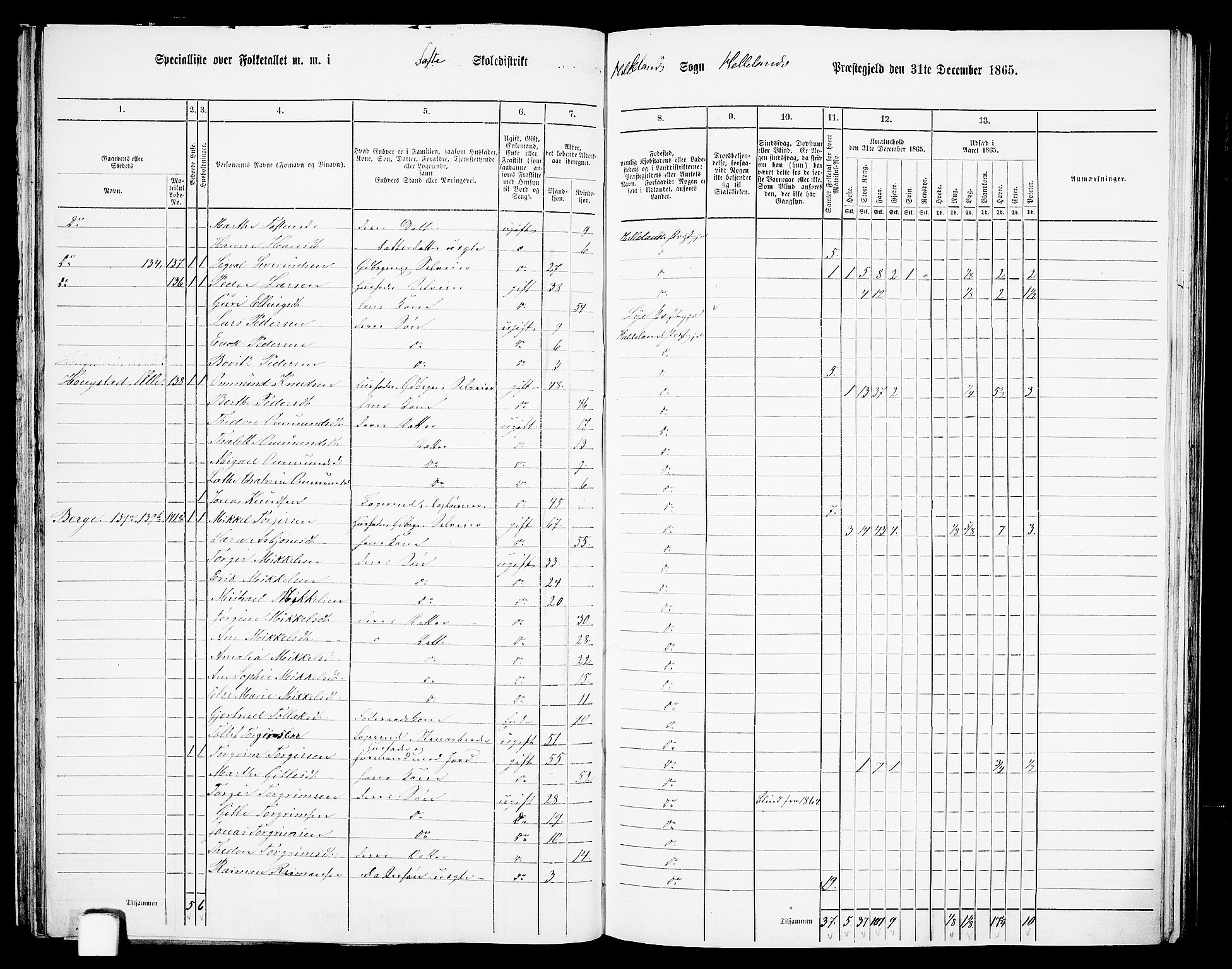 RA, 1865 census for Helleland, 1865, p. 43