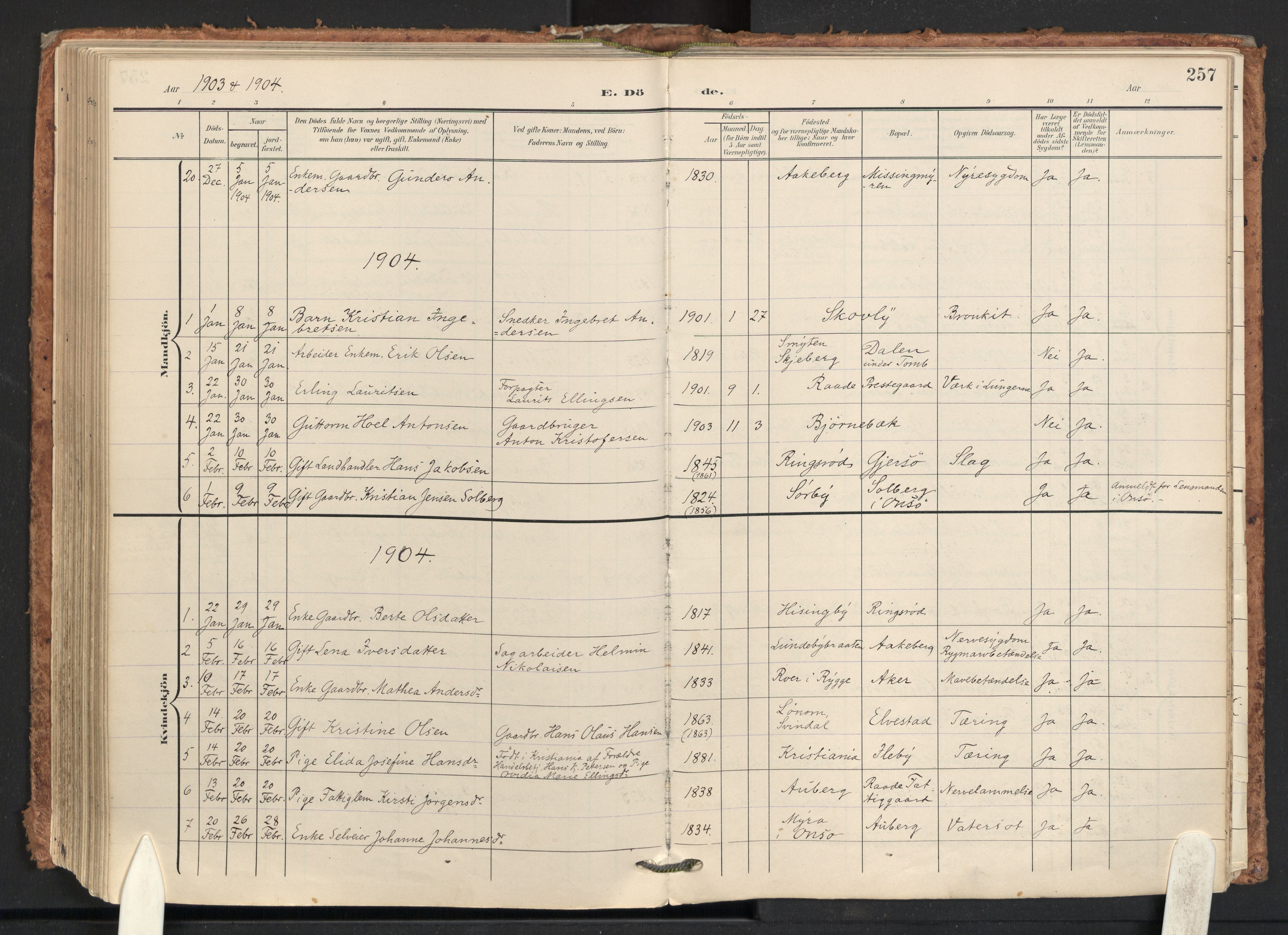 Råde prestekontor kirkebøker, AV/SAO-A-2009/F/Fa/L0008: Parish register (official) no. 8, 1903-1924, p. 257