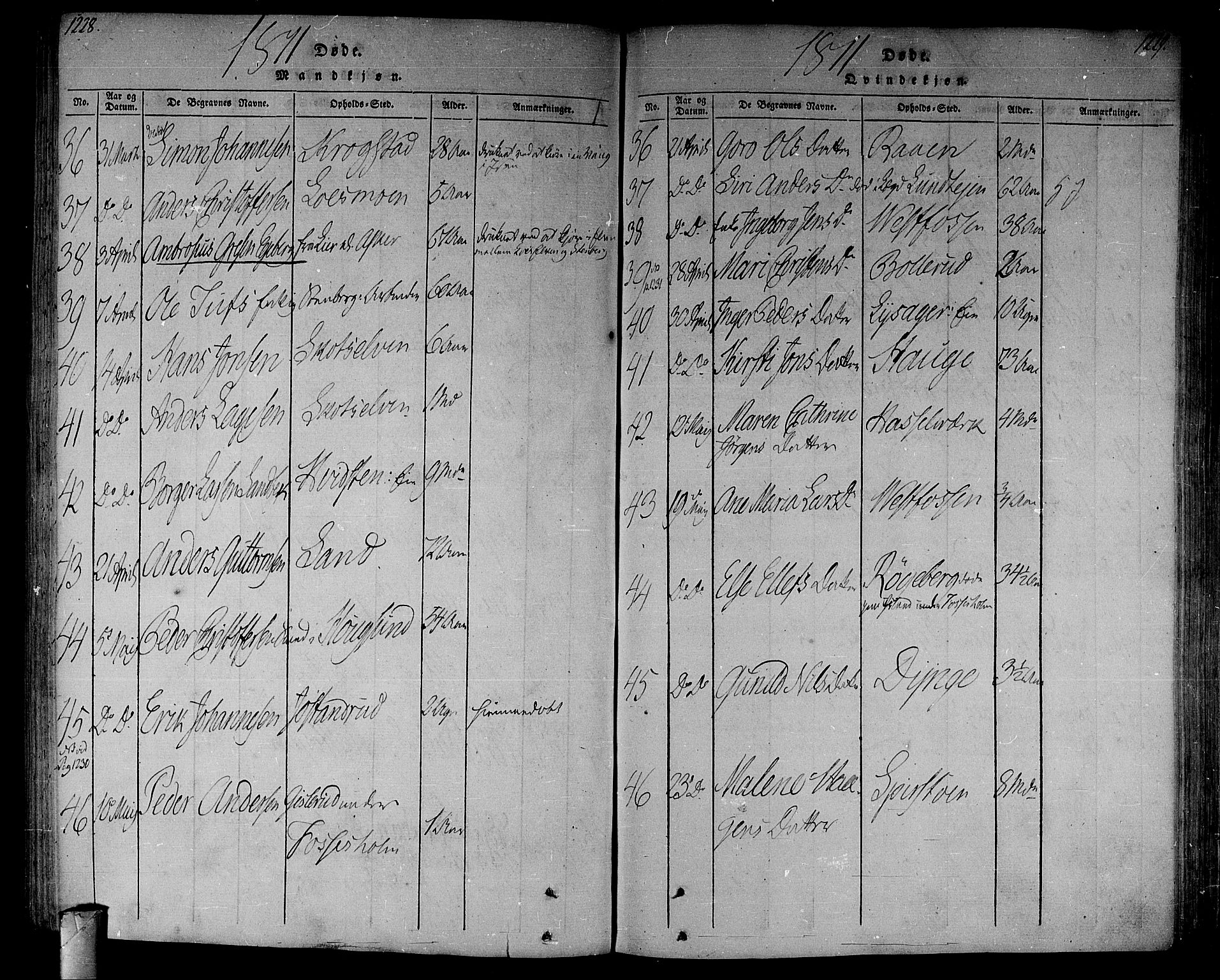 Eiker kirkebøker, AV/SAKO-A-4/F/Fa/L0010: Parish register (official) no. I 10, 1806-1815, p. 1228-1229