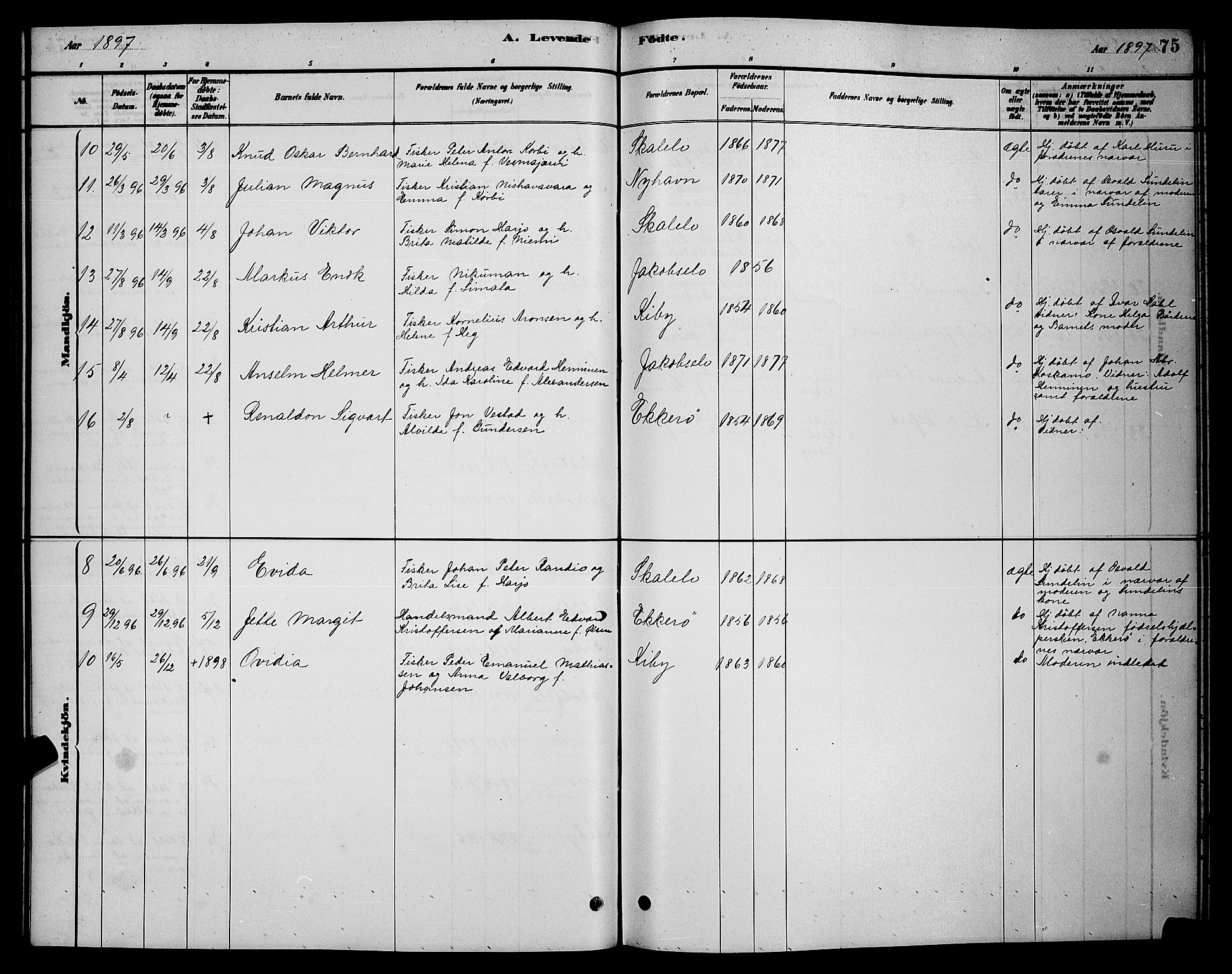 Vadsø sokneprestkontor, SATØ/S-1325/H/Hb/L0003klokker: Parish register (copy) no. 3, 1881-1901, p. 75