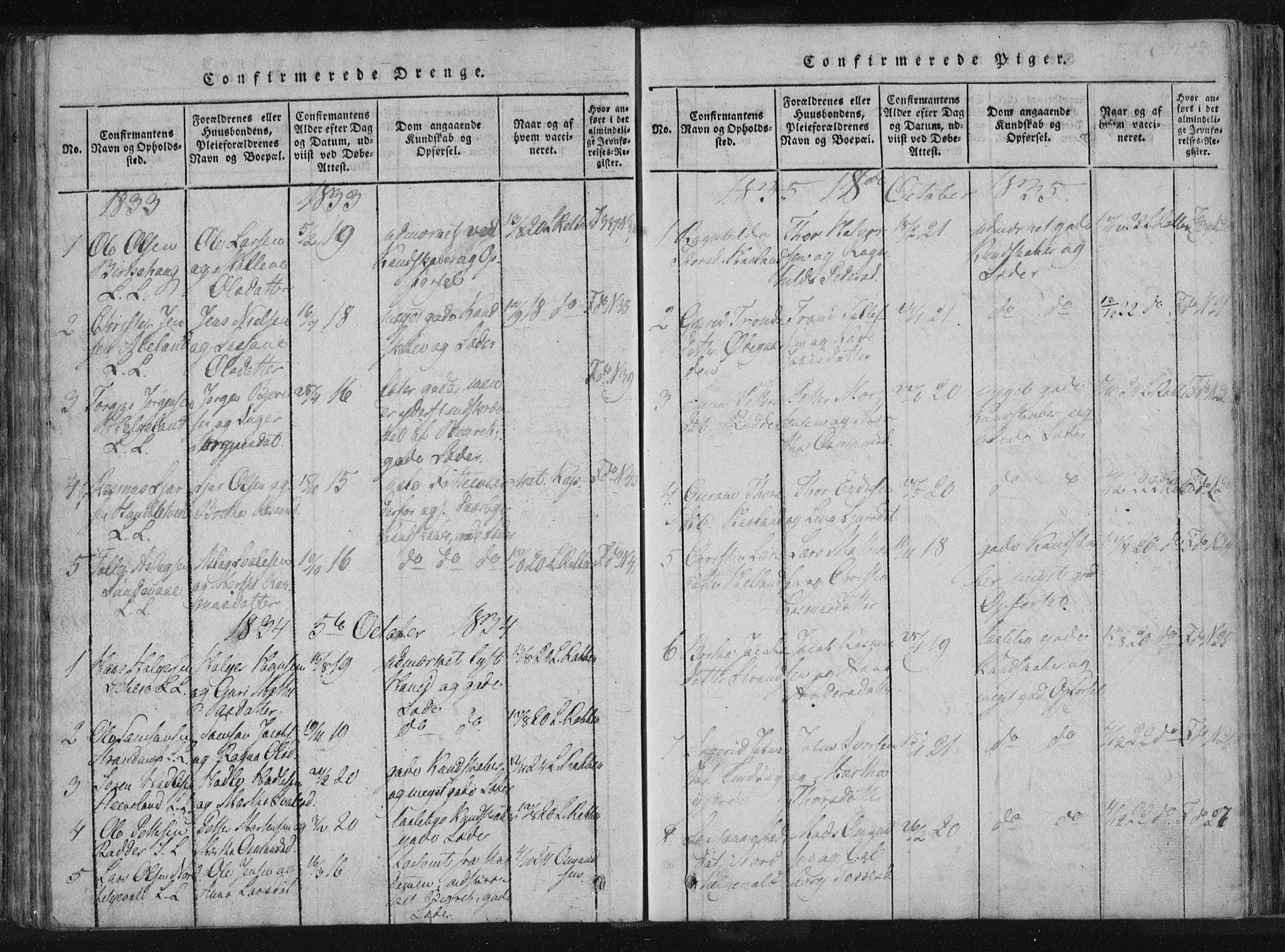 Vikedal sokneprestkontor, SAST/A-101840/01/IV: Parish register (official) no. A 4, 1816-1850, p. 247