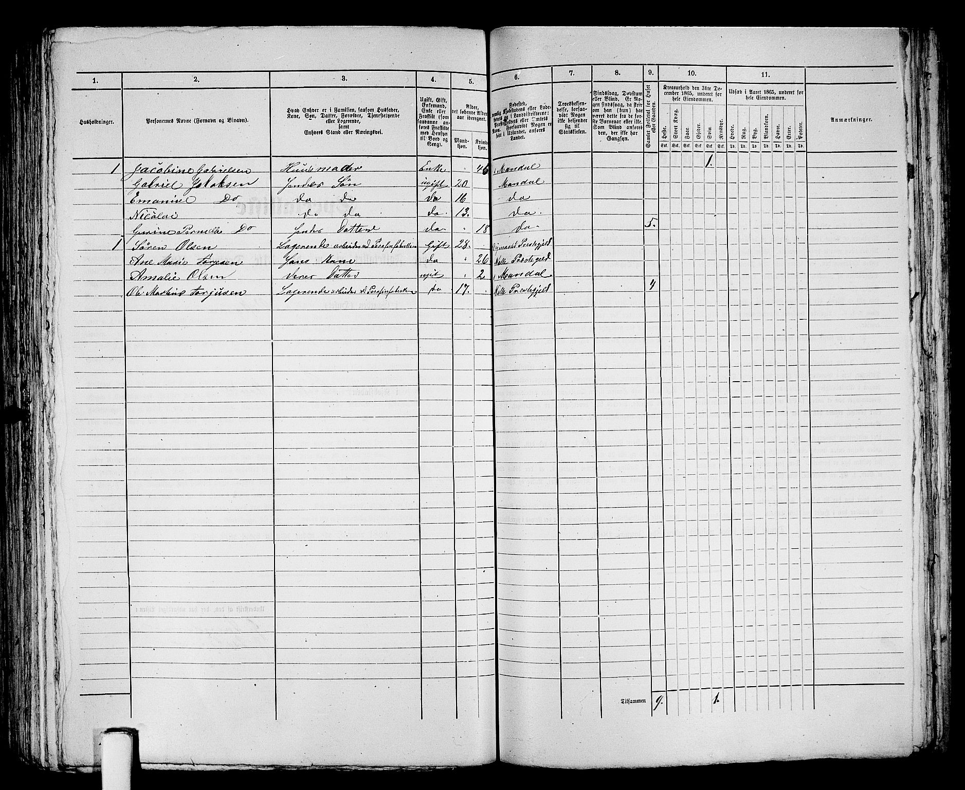 RA, 1865 census for Mandal/Mandal, 1865, p. 359