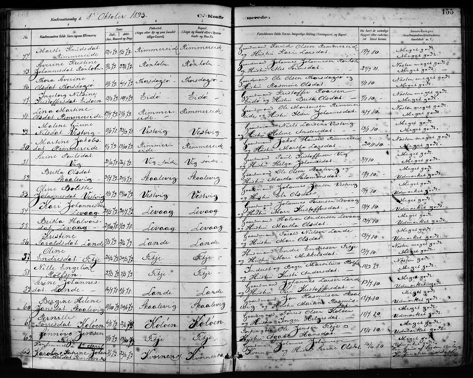 Fitjar sokneprestembete, AV/SAB-A-99926: Parish register (official) no. A 2, 1882-1899, p. 155