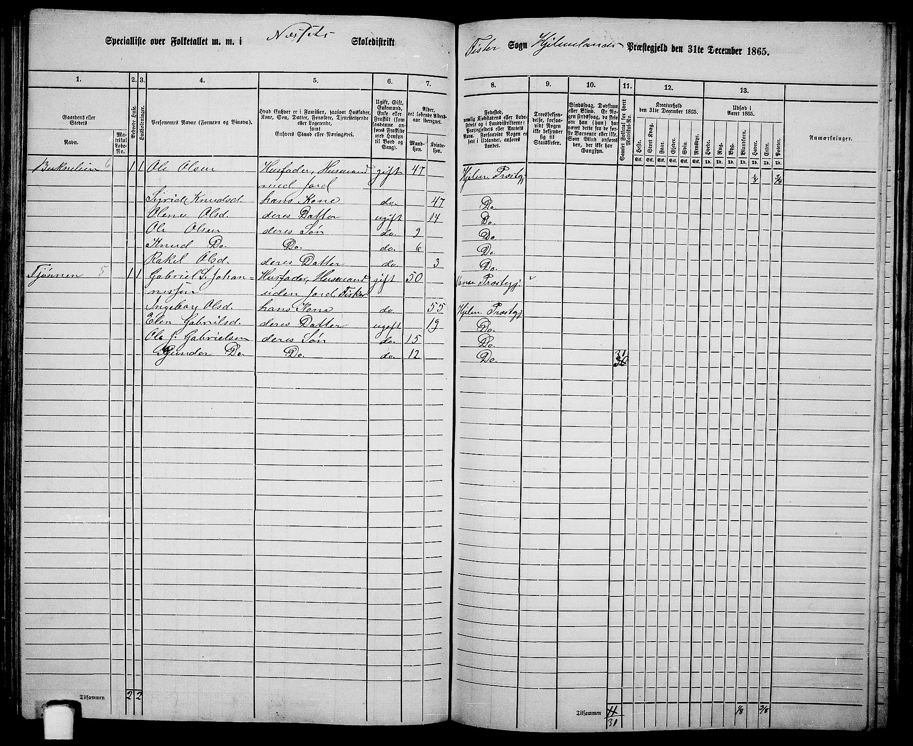 RA, 1865 census for Hjelmeland, 1865, p. 129