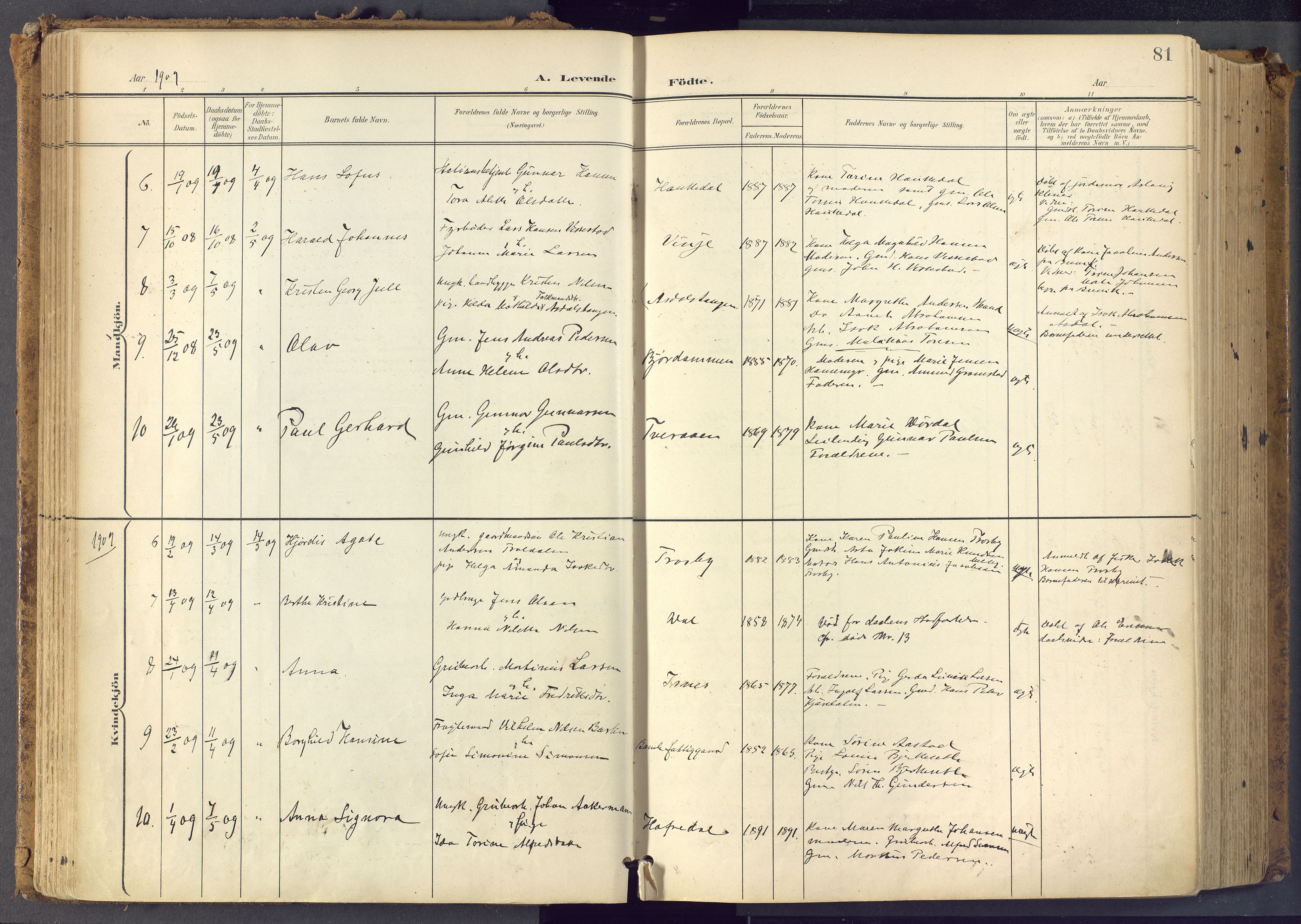 Bamble kirkebøker, SAKO/A-253/F/Fa/L0009: Parish register (official) no. I 9, 1901-1917, p. 81