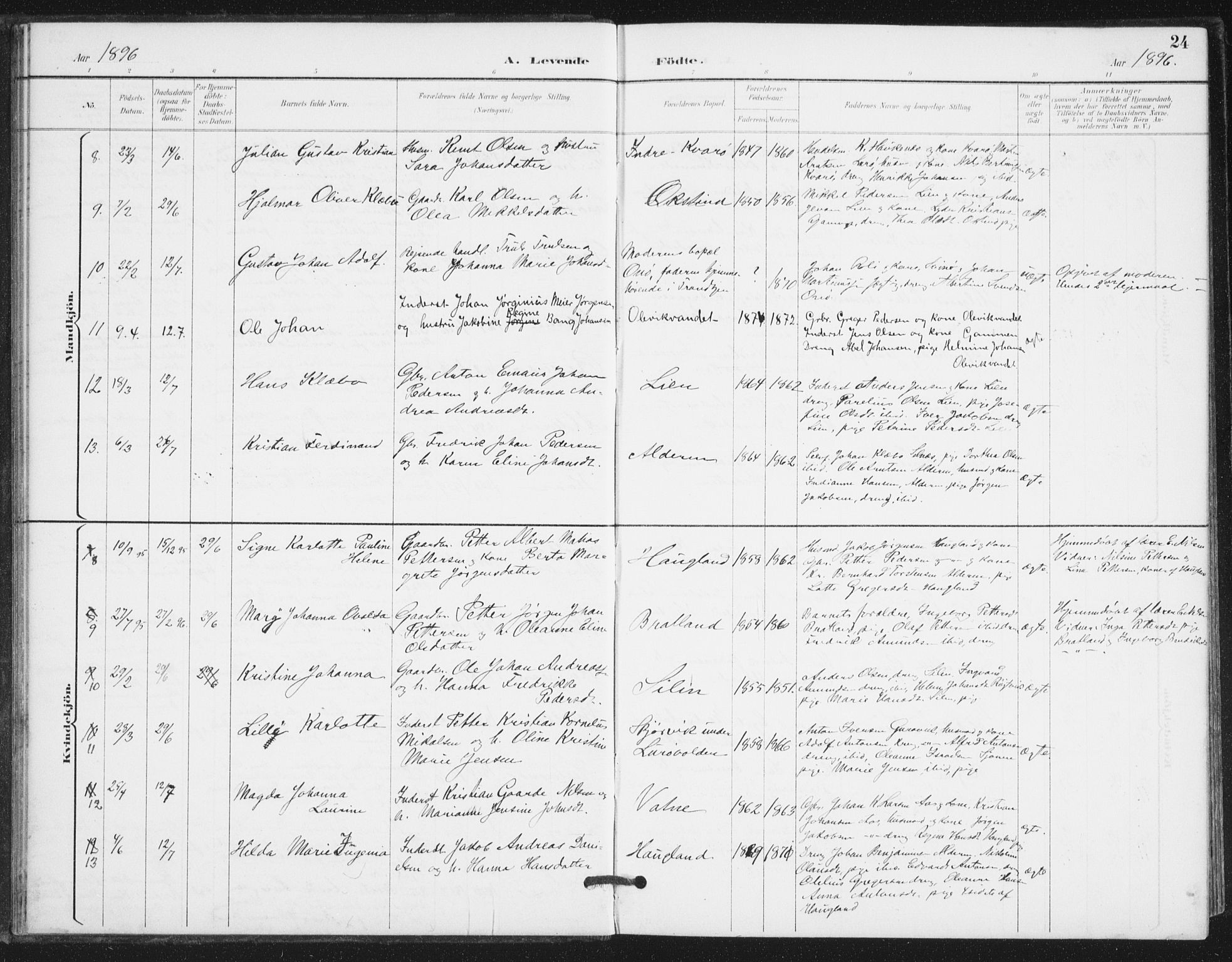 Ministerialprotokoller, klokkerbøker og fødselsregistre - Nordland, AV/SAT-A-1459/839/L0573: Parish register (copy) no. 839C03, 1892-1917, p. 24