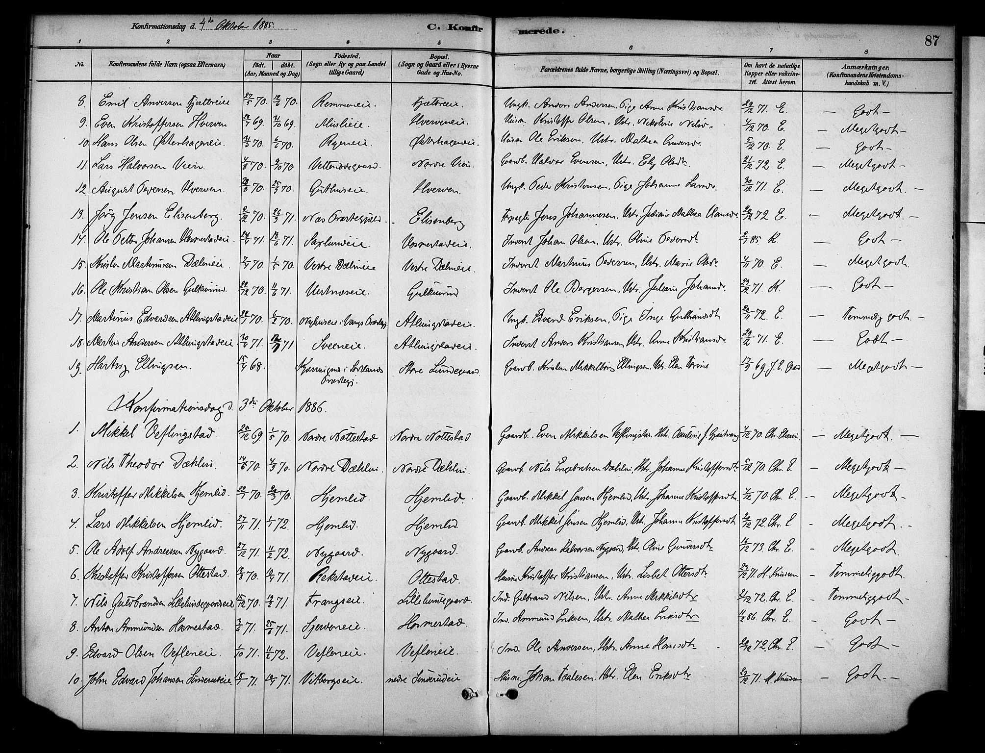 Stange prestekontor, AV/SAH-PREST-002/K/L0019: Parish register (official) no. 19, 1880-1891, p. 87