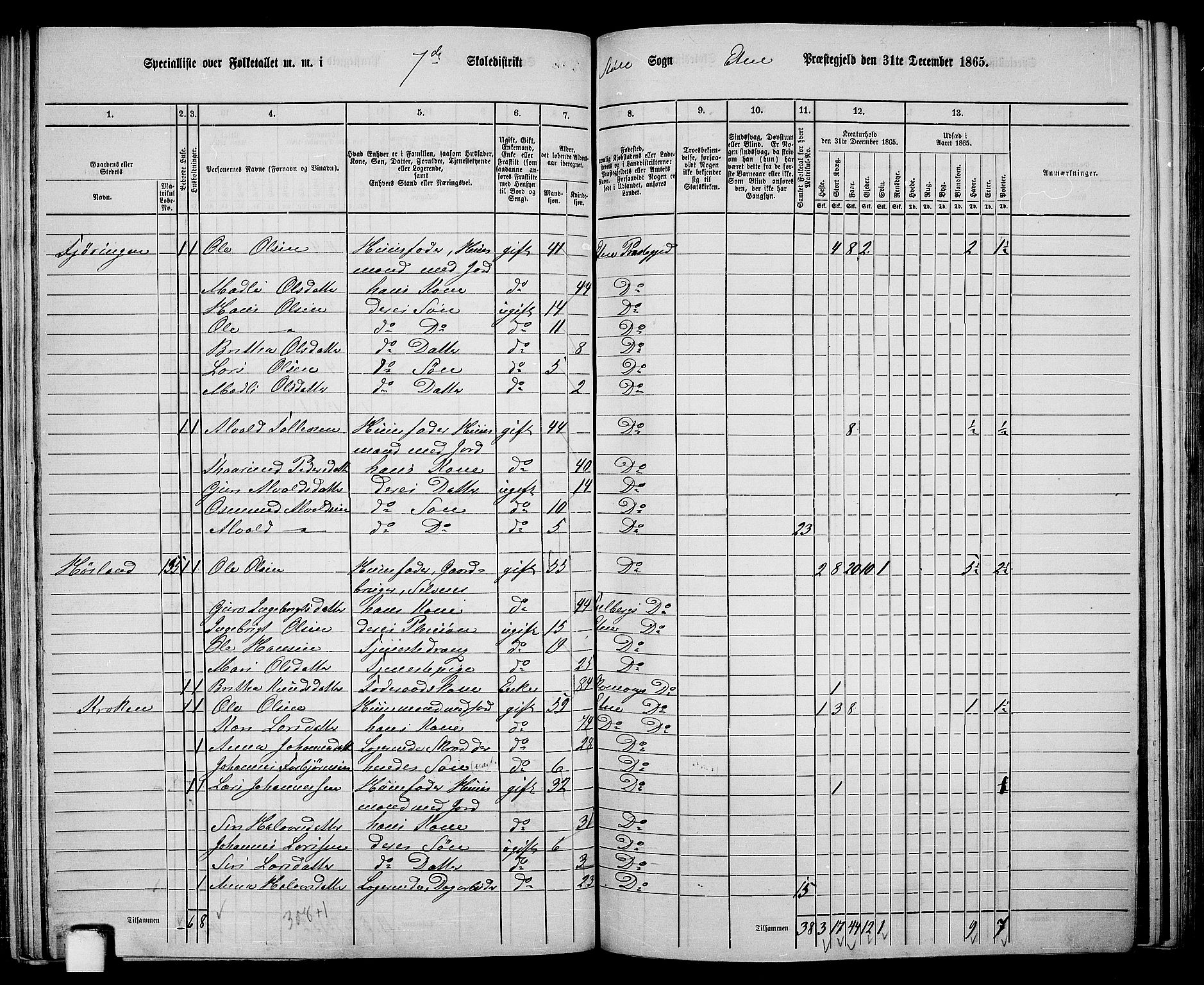 RA, 1865 census for Etne, 1865, p. 113