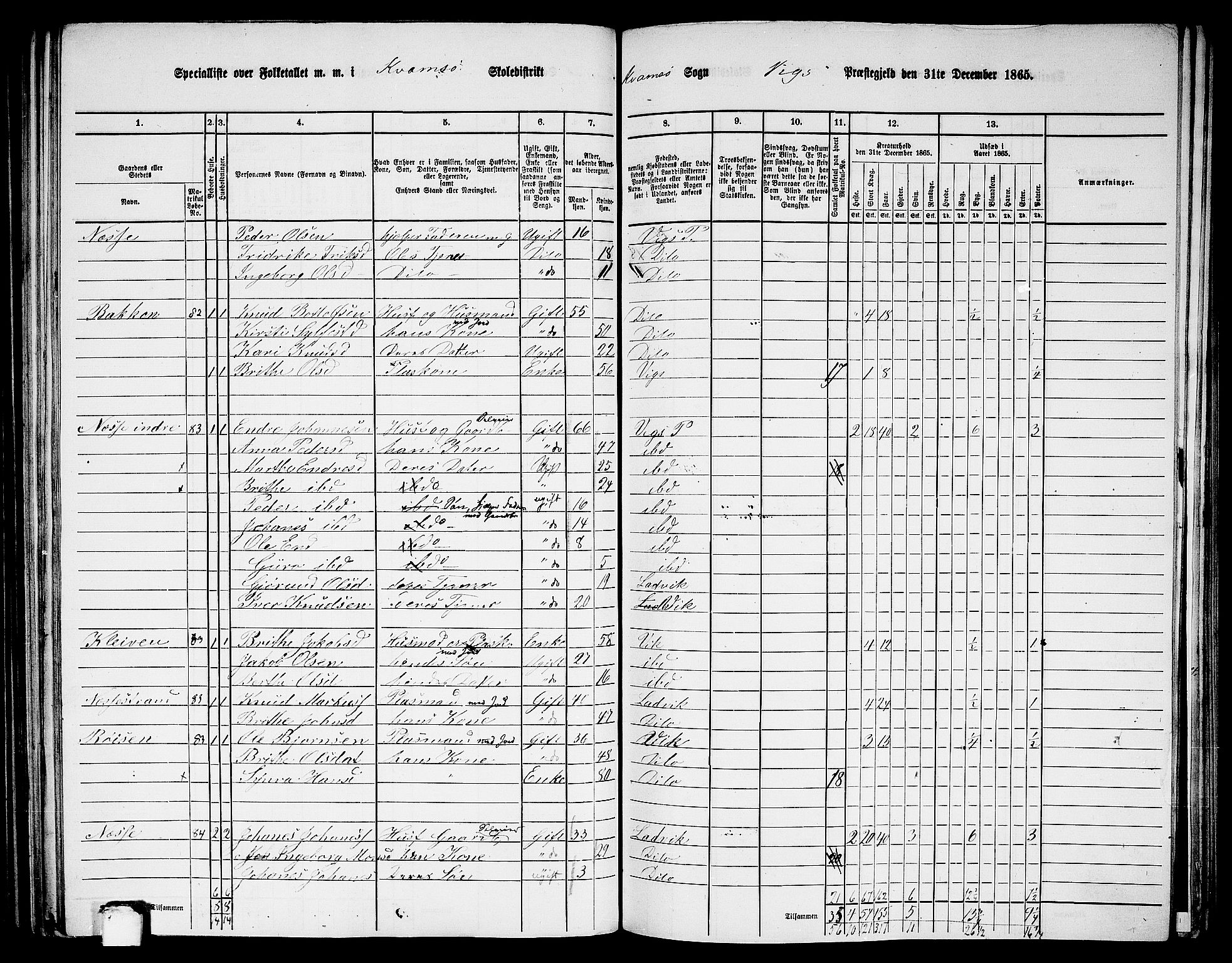 RA, 1865 census for Vik, 1865, p. 122