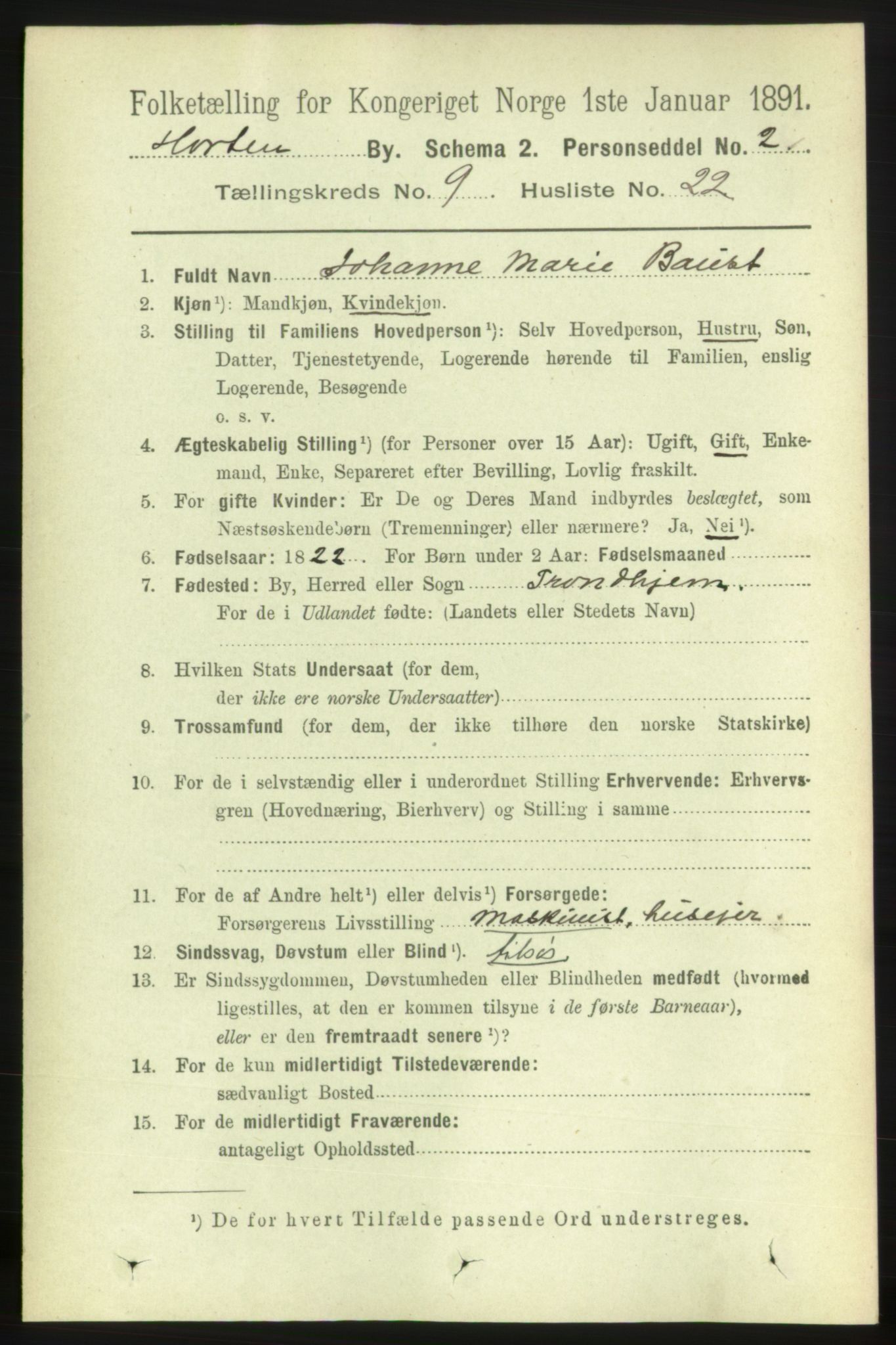 RA, 1891 census for 0703 Horten, 1891, p. 5751