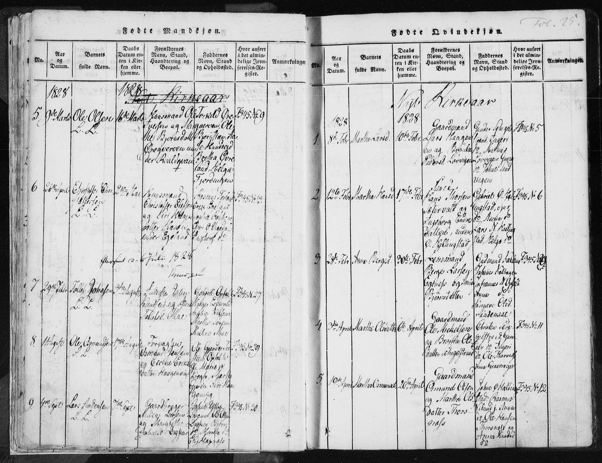 Vikedal sokneprestkontor, AV/SAST-A-101840/01/IV: Parish register (official) no. A 3, 1817-1850, p. 25