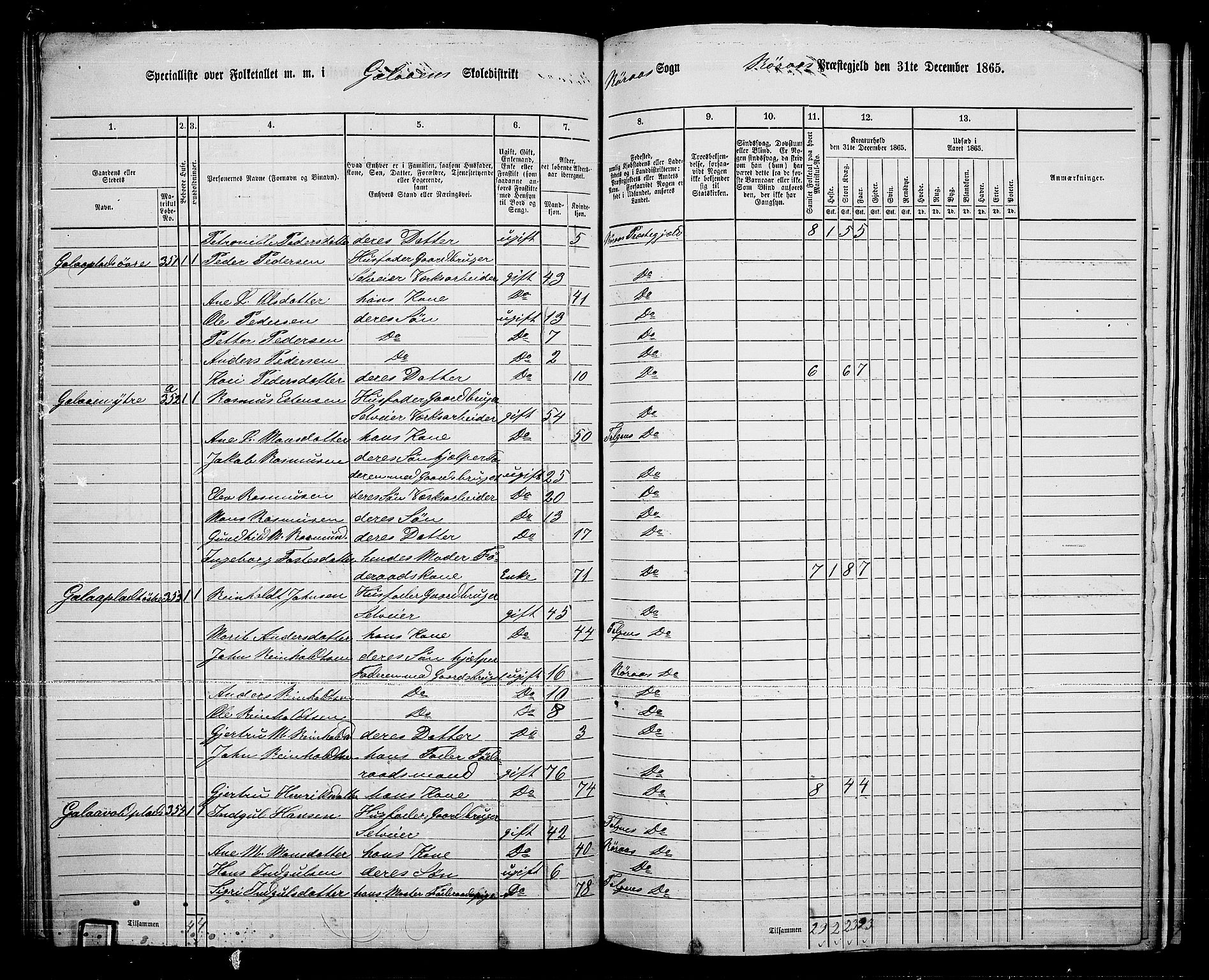 RA, 1865 census for Tolga, 1865, p. 137