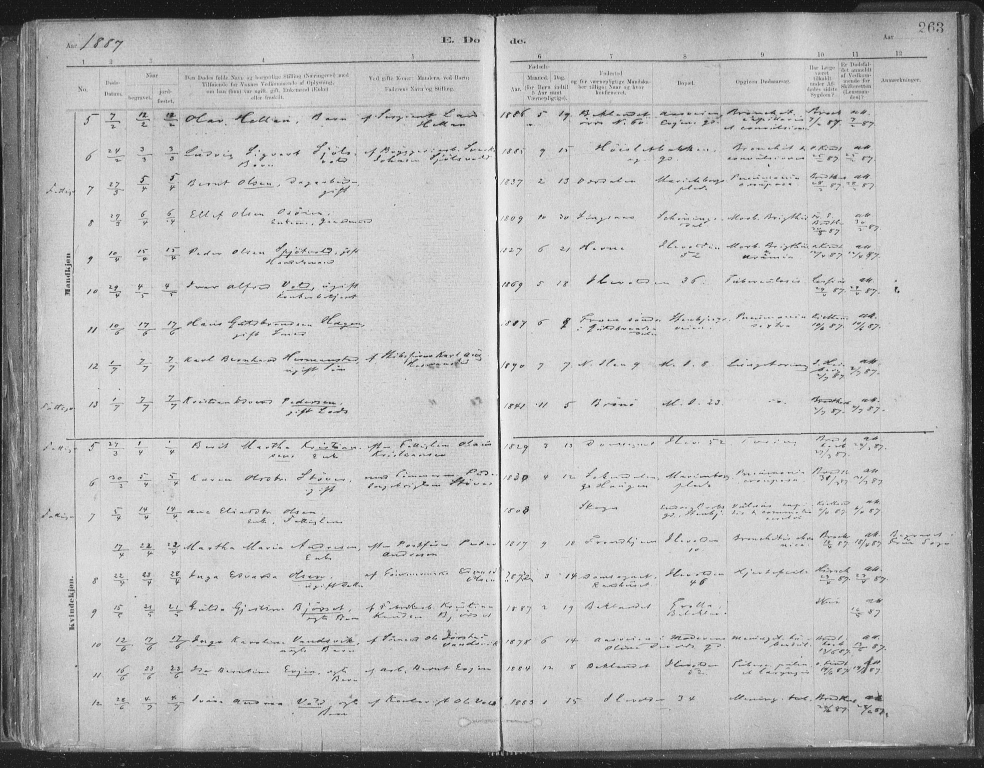 Ministerialprotokoller, klokkerbøker og fødselsregistre - Sør-Trøndelag, AV/SAT-A-1456/603/L0162: Parish register (official) no. 603A01, 1879-1895, p. 263