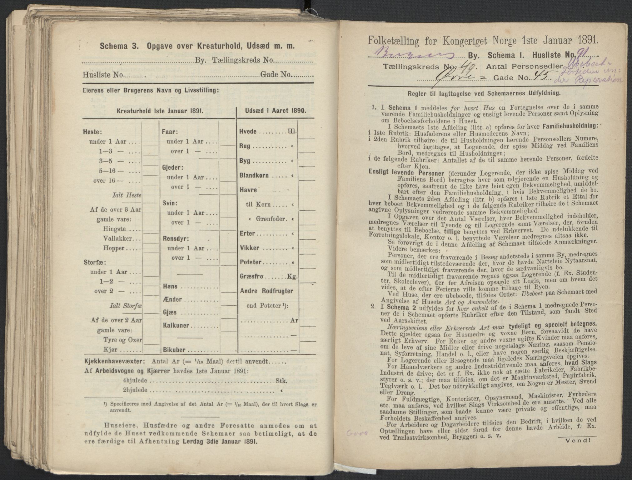 RA, 1891 Census for 1301 Bergen, 1891, p. 8140