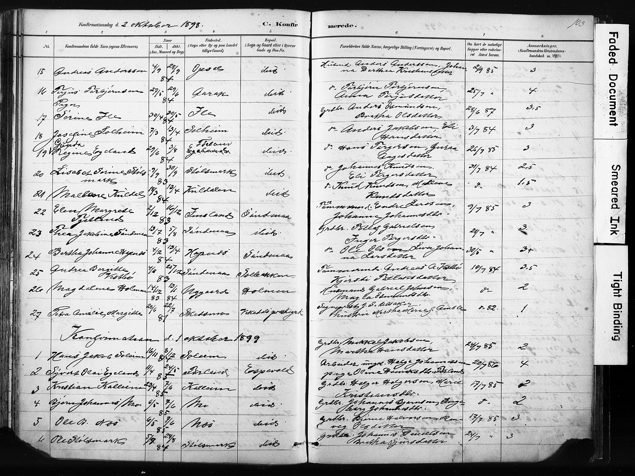 Vikedal sokneprestkontor, AV/SAST-A-101840/01/IV: Parish register (official) no. A 10, 1884-1907, p. 103