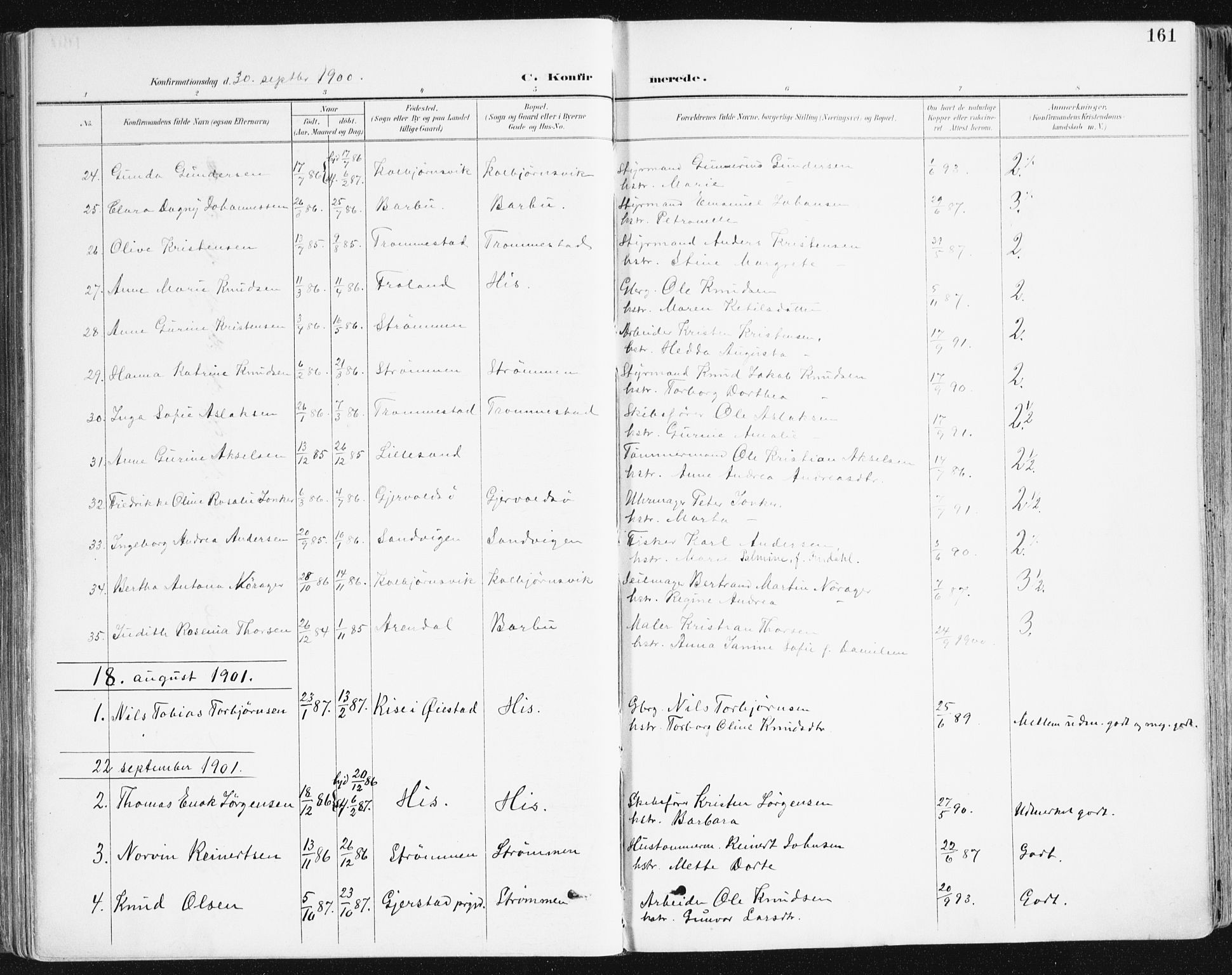 Hisøy sokneprestkontor, SAK/1111-0020/F/Fa/L0004: Parish register (official) no. A 4, 1895-1917, p. 161