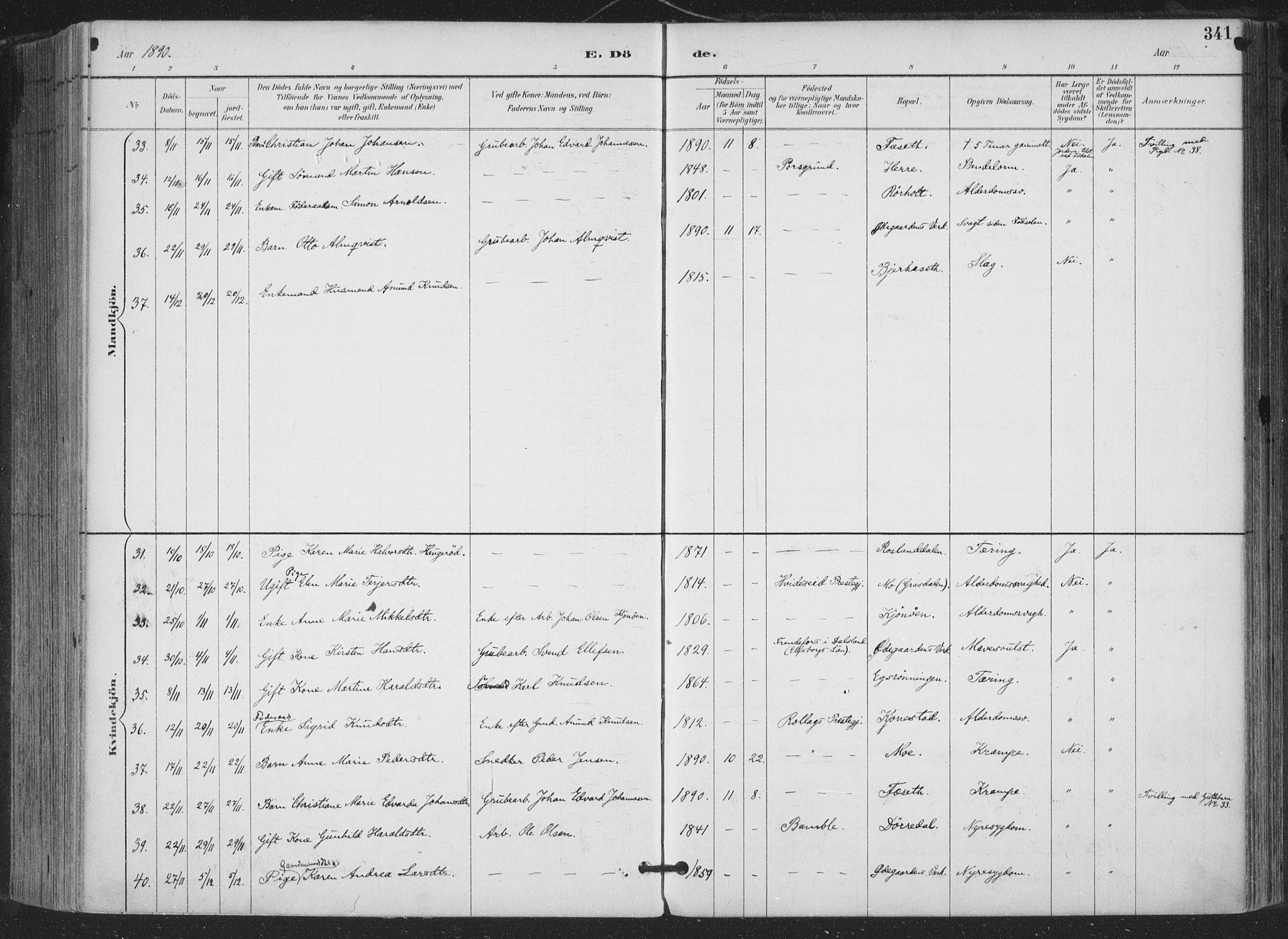 Bamble kirkebøker, SAKO/A-253/F/Fa/L0008: Parish register (official) no. I 8, 1888-1900, p. 341