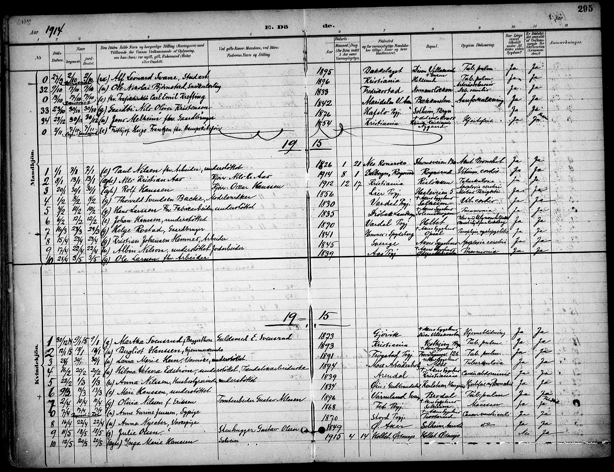 Østre Aker prestekontor Kirkebøker, SAO/A-10840/F/Fa/L0011: Parish register (official) no. I 11, 1895-1917, p. 295
